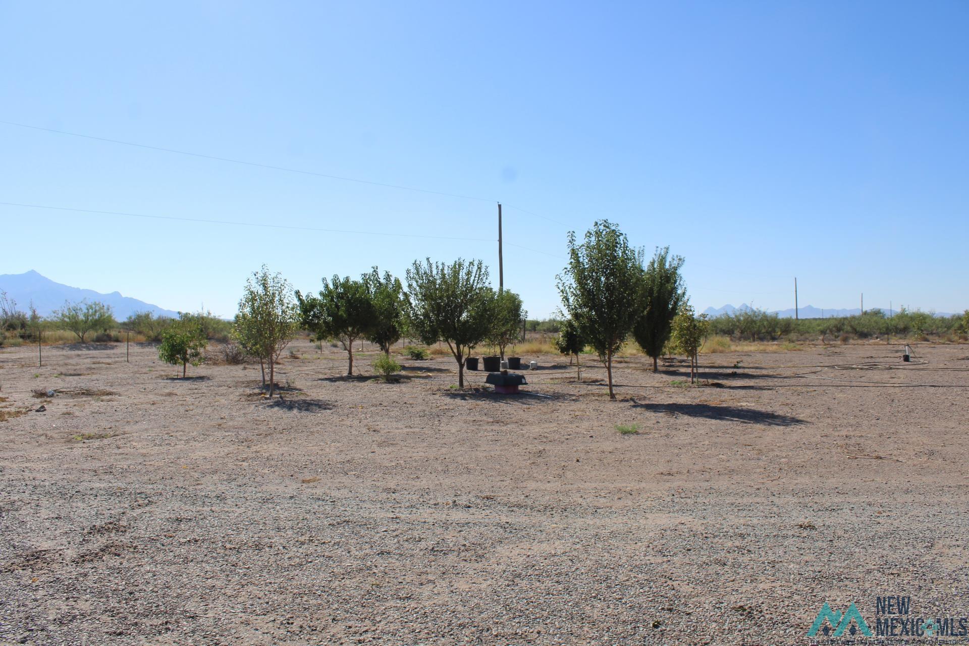 11600 Purple Sage Rd Sw Rd, Deming, New Mexico image 12