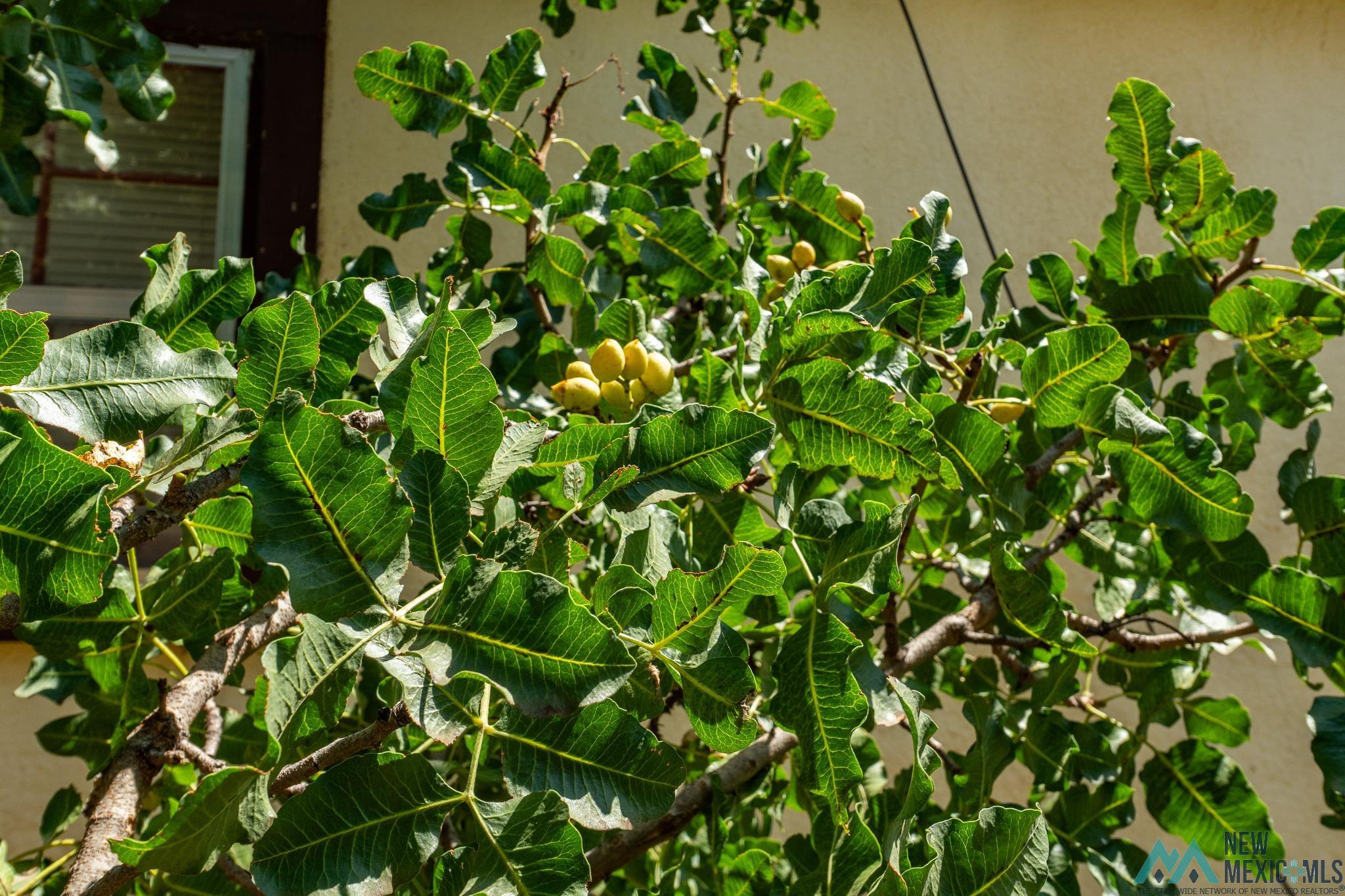 Portales, New Mexico 88130, United States, 3 Bedrooms Bedrooms, ,2 BathroomsBathrooms,Residential,Active,187673