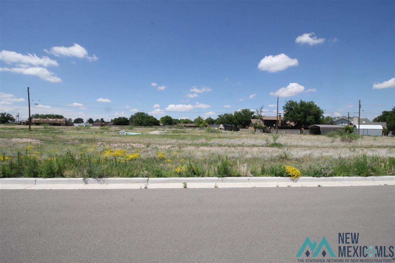 Lot 10 Block 8 W Ave K Street, Lovington, New Mexico image 1