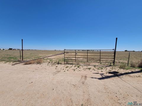 Vacant Land For Sale - 62 Hopi Road<br/> Dexter, NM 88230