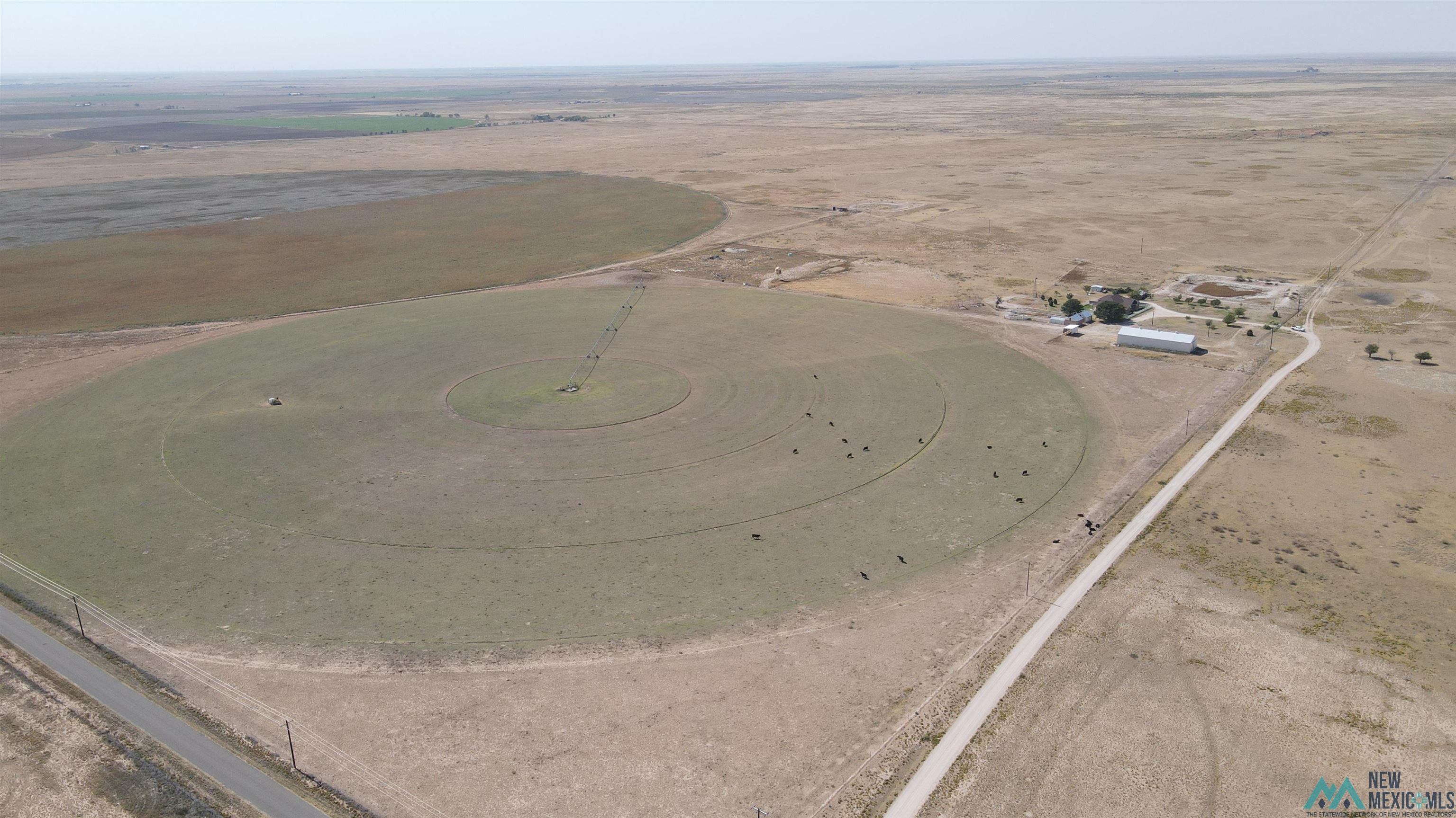 29 W Wheeler Lane, Lovington, New Mexico image 5