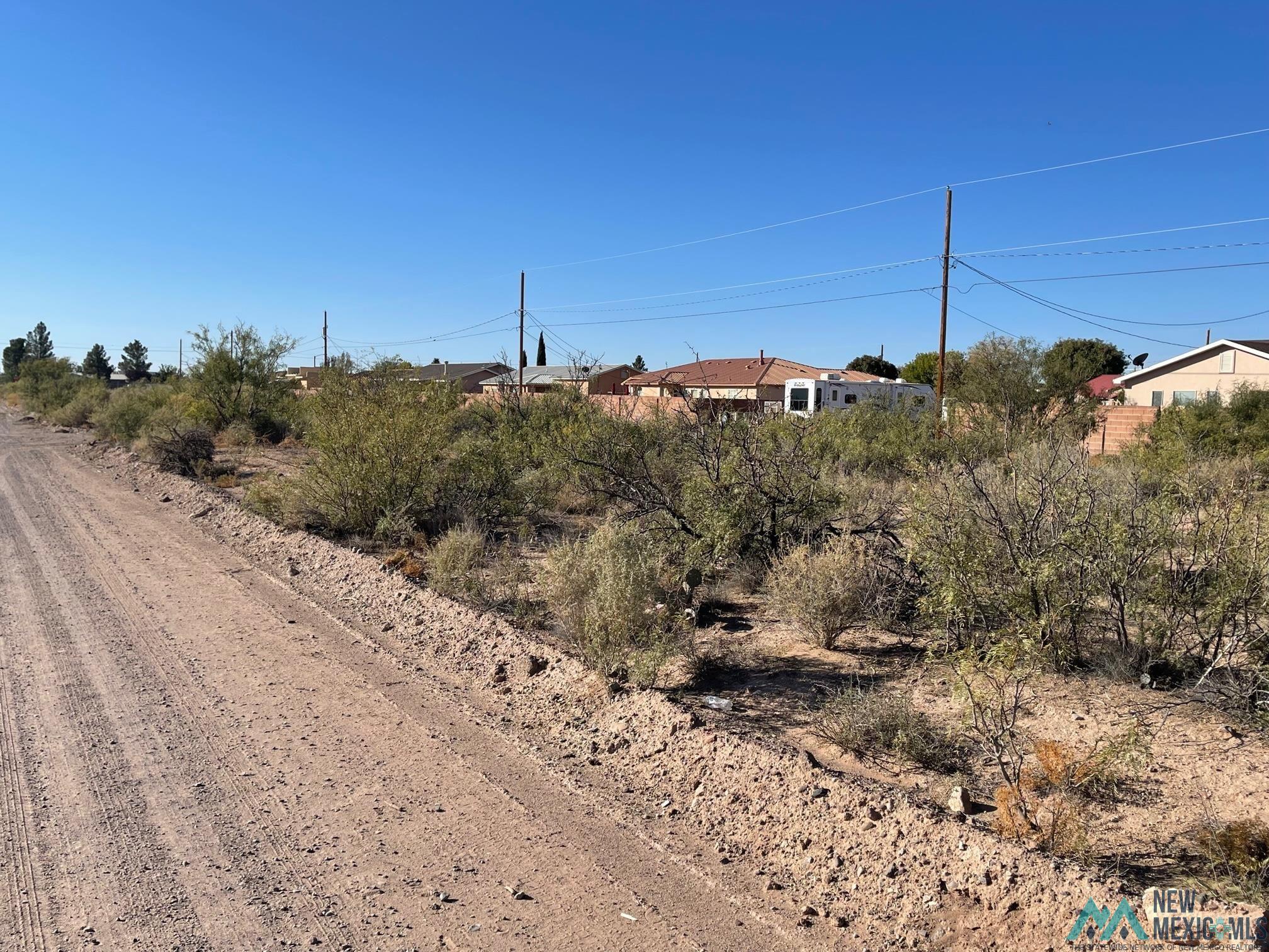 XXXX S Tennyson Drive, Deming, New Mexico image 1