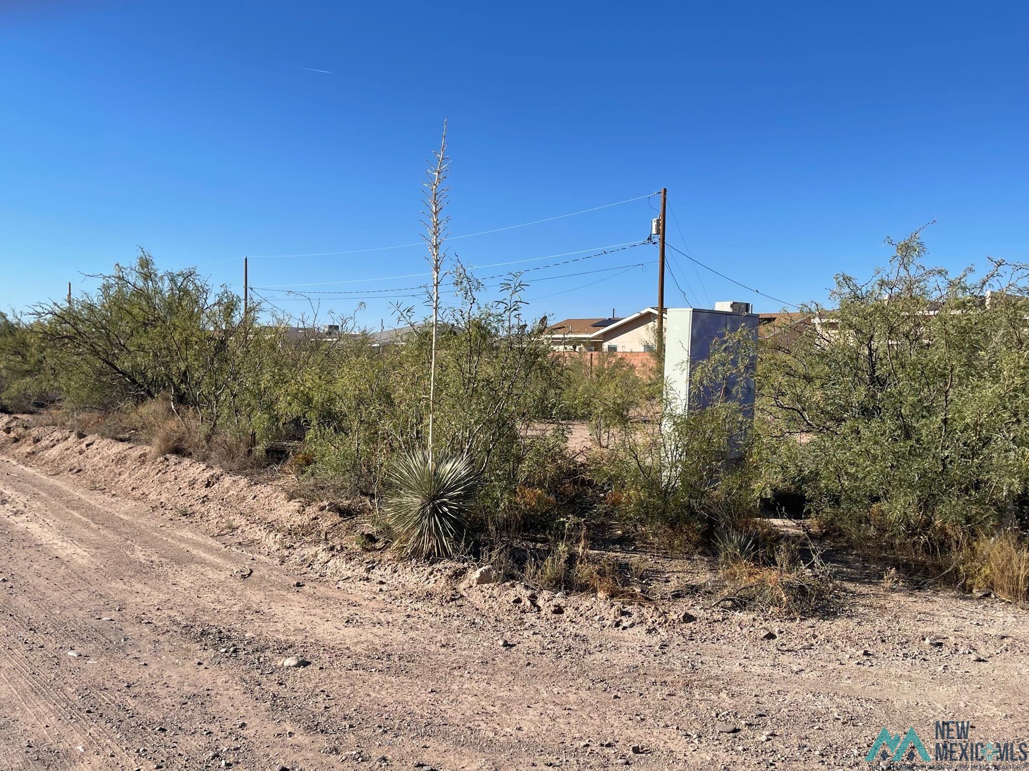 XXXX S Tennyson Drive, Deming, New Mexico image 5