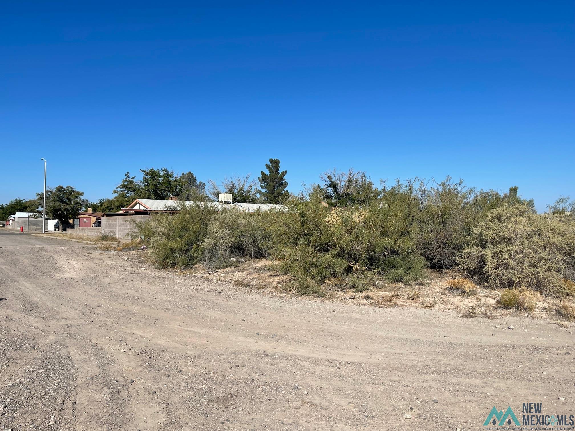 XXXX S Tennyson Drive, Deming, New Mexico image 4