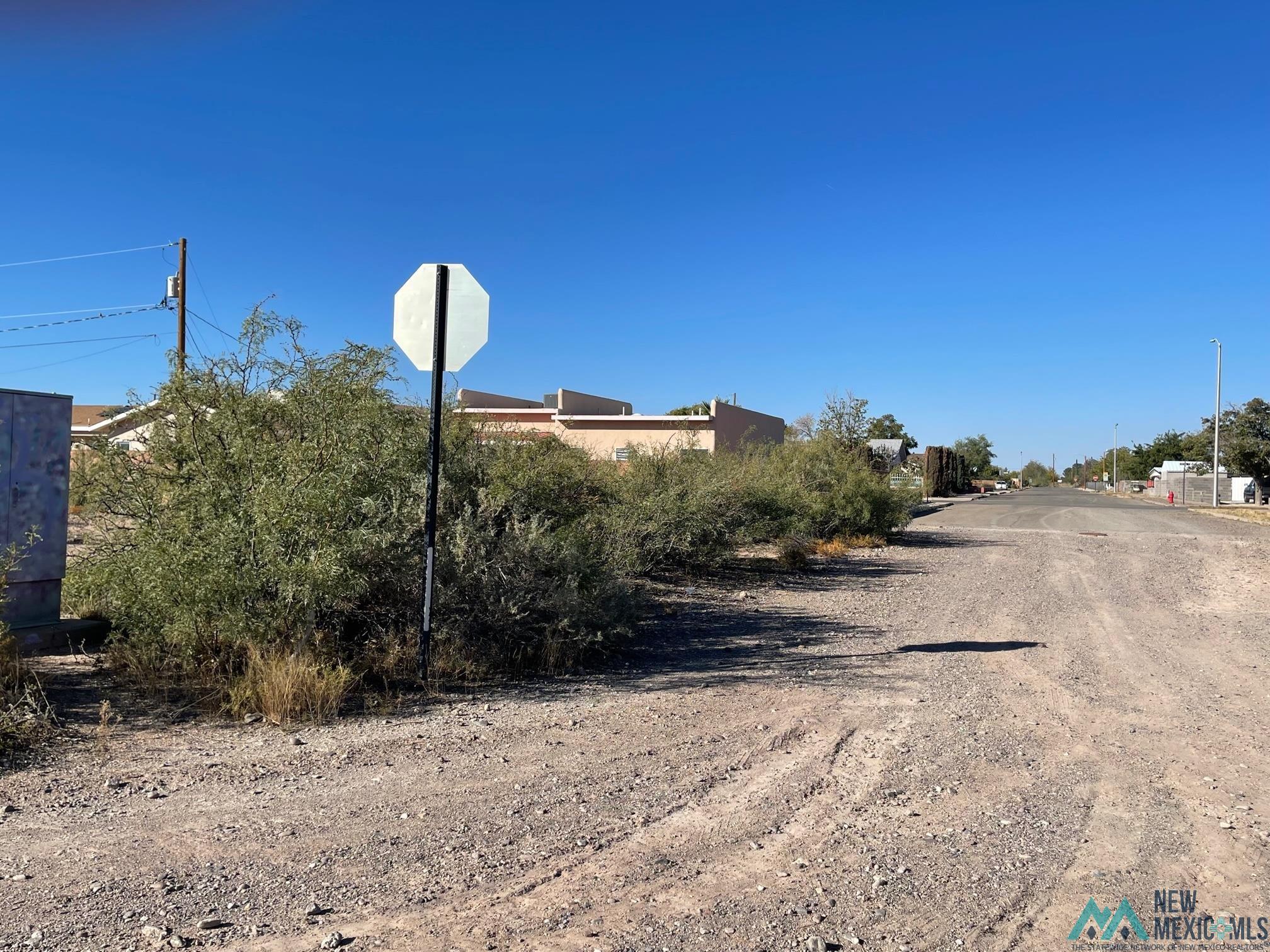 XXXX S Tennyson Drive, Deming, New Mexico image 7