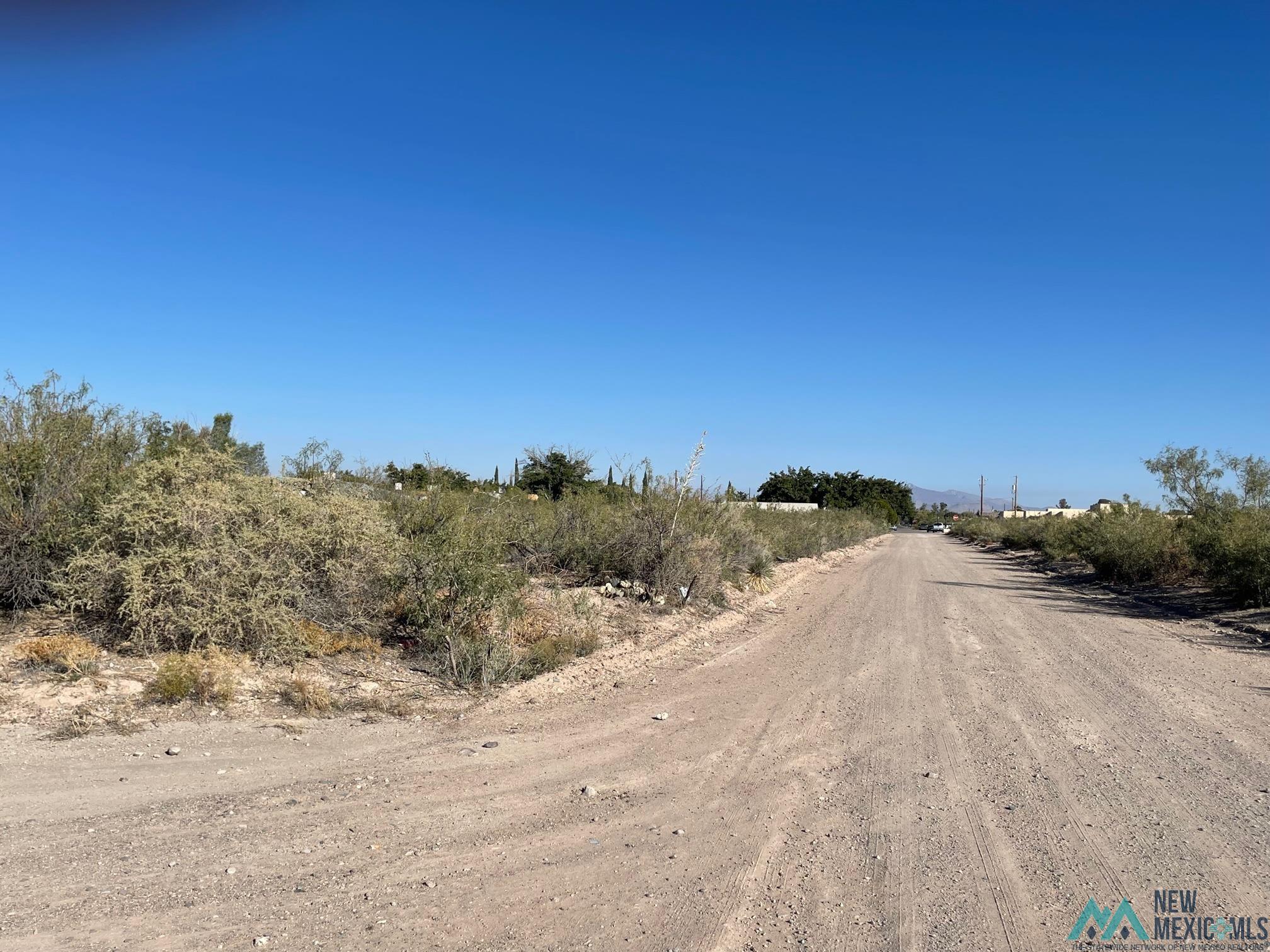 XXXX S Tennyson Drive, Deming, New Mexico image 8