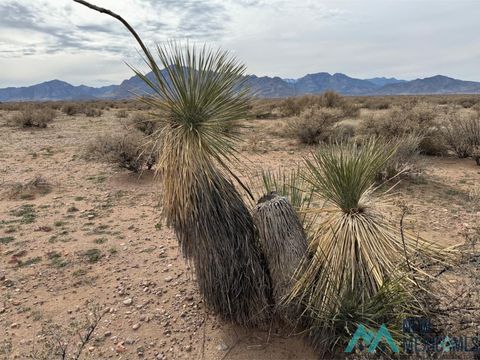 Vacant Land For Sale - TBD Estrellas Road<br/> Hidalgo County, Rodeo, NM 88056