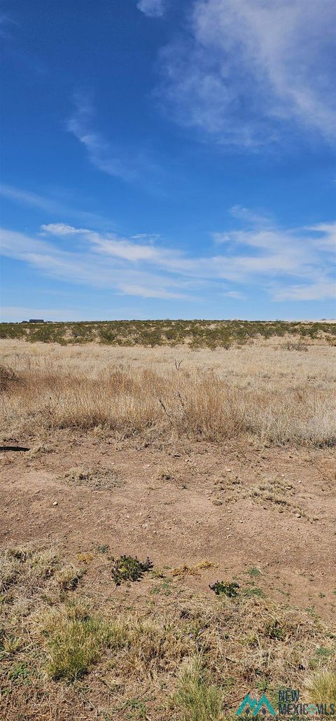 Vacant Land For Sale - 76 Mistico Lane<br/> Chaves County, Roswell, NM 88201