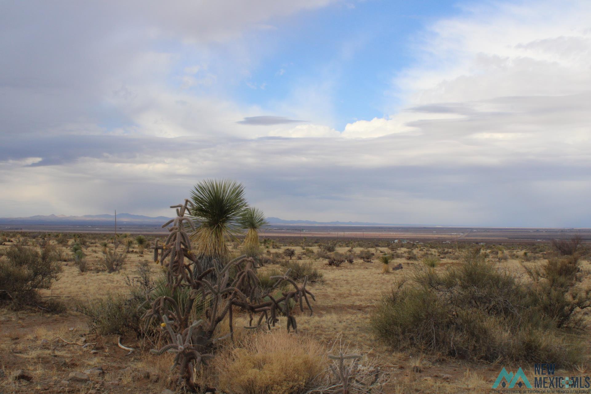 Gardenia Rd Se, Deming, New Mexico image 9