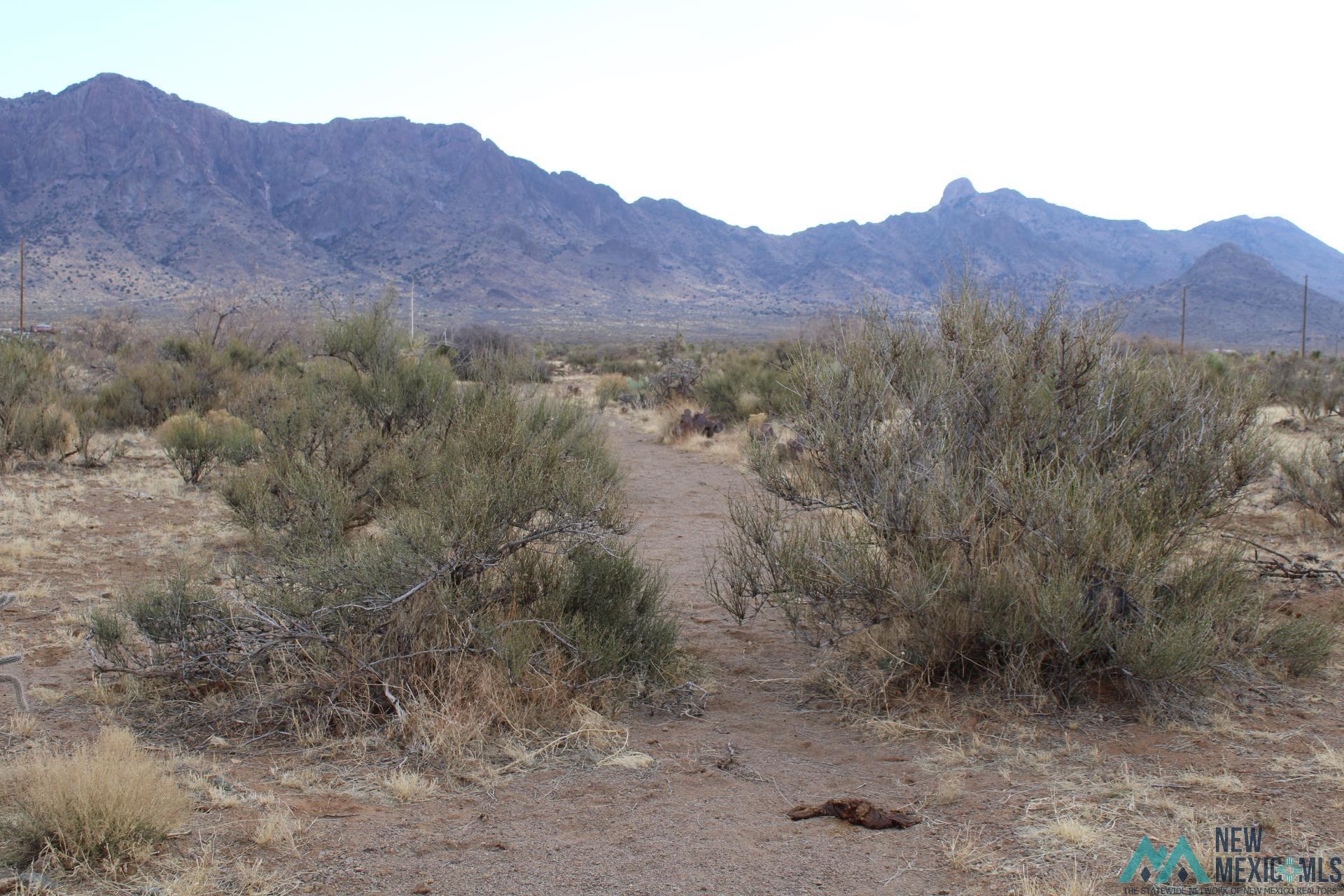 Gardenia Rd Se, Deming, New Mexico image 5