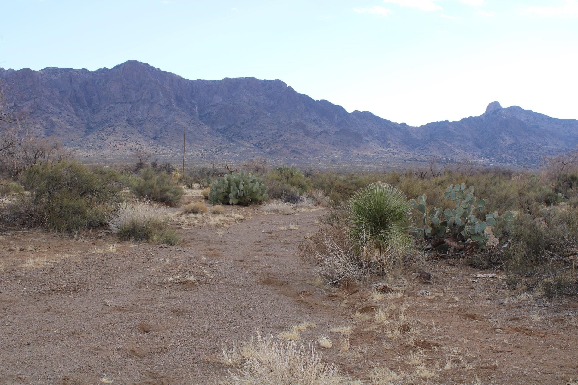 Gardenia Rd Se, Deming, New Mexico image 6