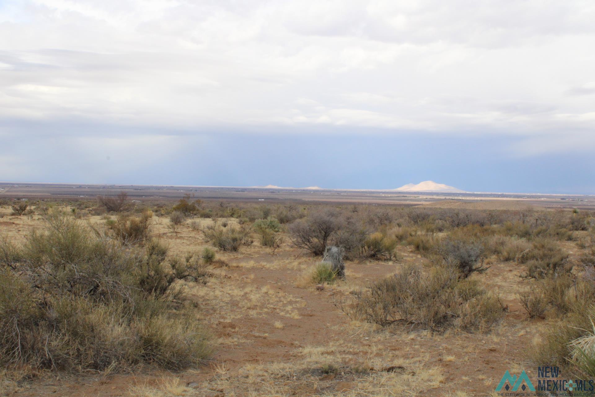 Gardenia Rd Se, Deming, New Mexico image 10