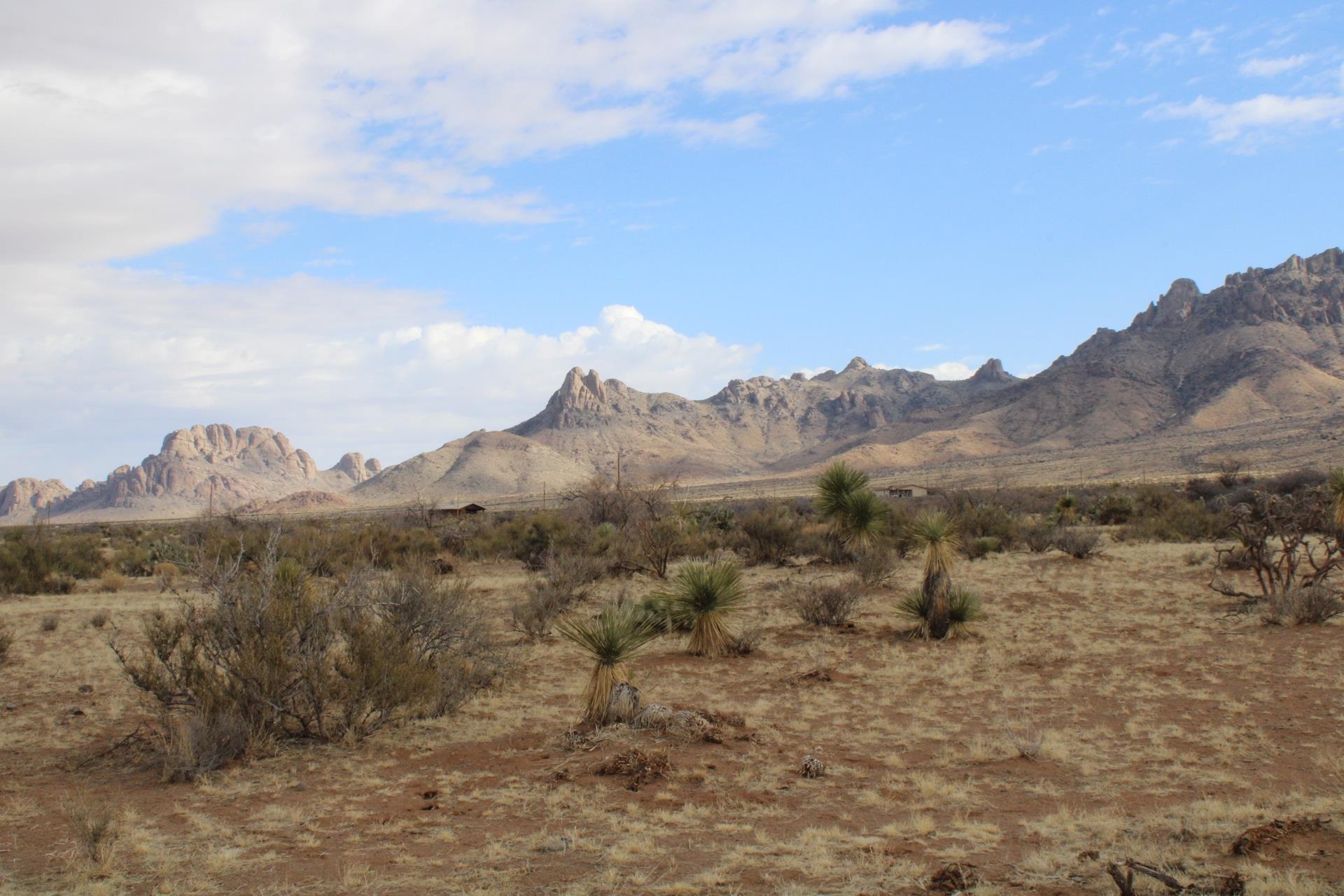 Gardenia Rd Se, Deming, New Mexico image 3