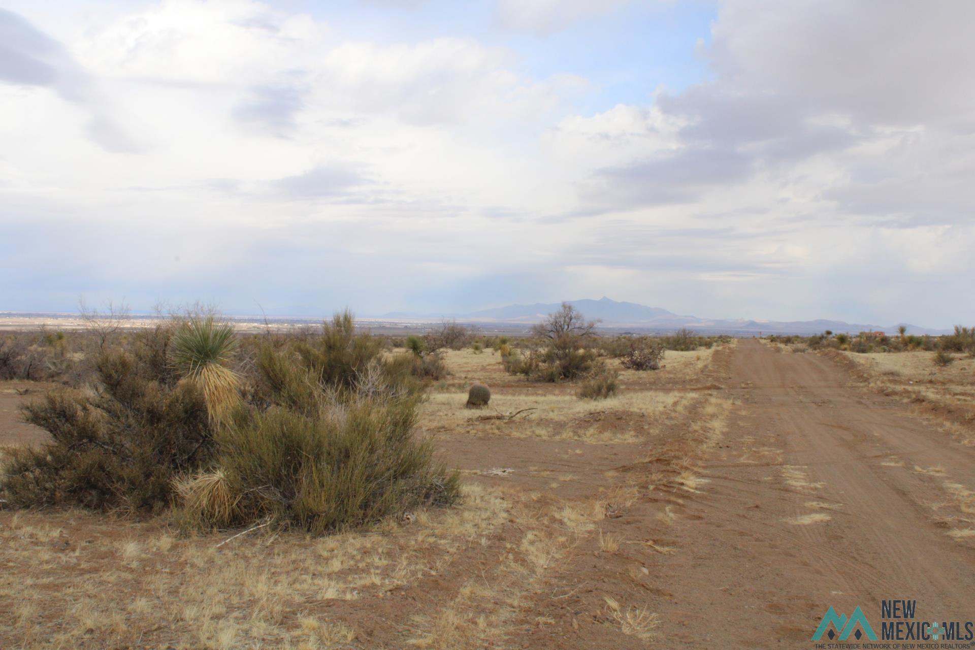 Gardenia Rd Se, Deming, New Mexico image 12