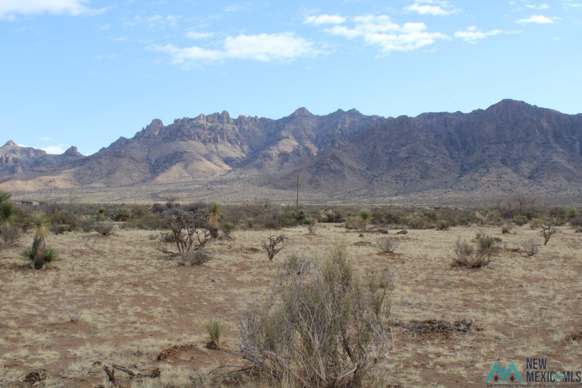 Gardenia Rd Se, Deming, New Mexico image 2