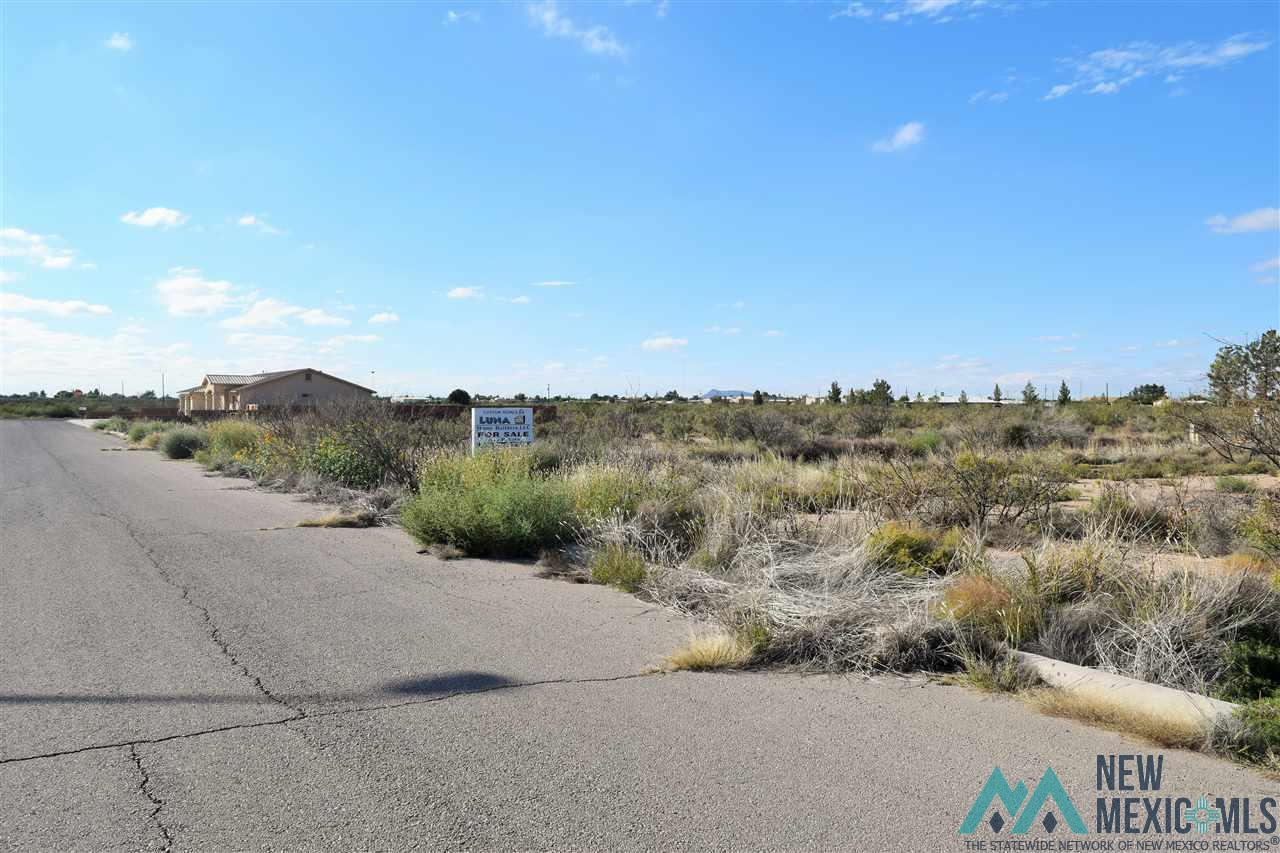 0000 Los Luna Drive, Deming, New Mexico image 5