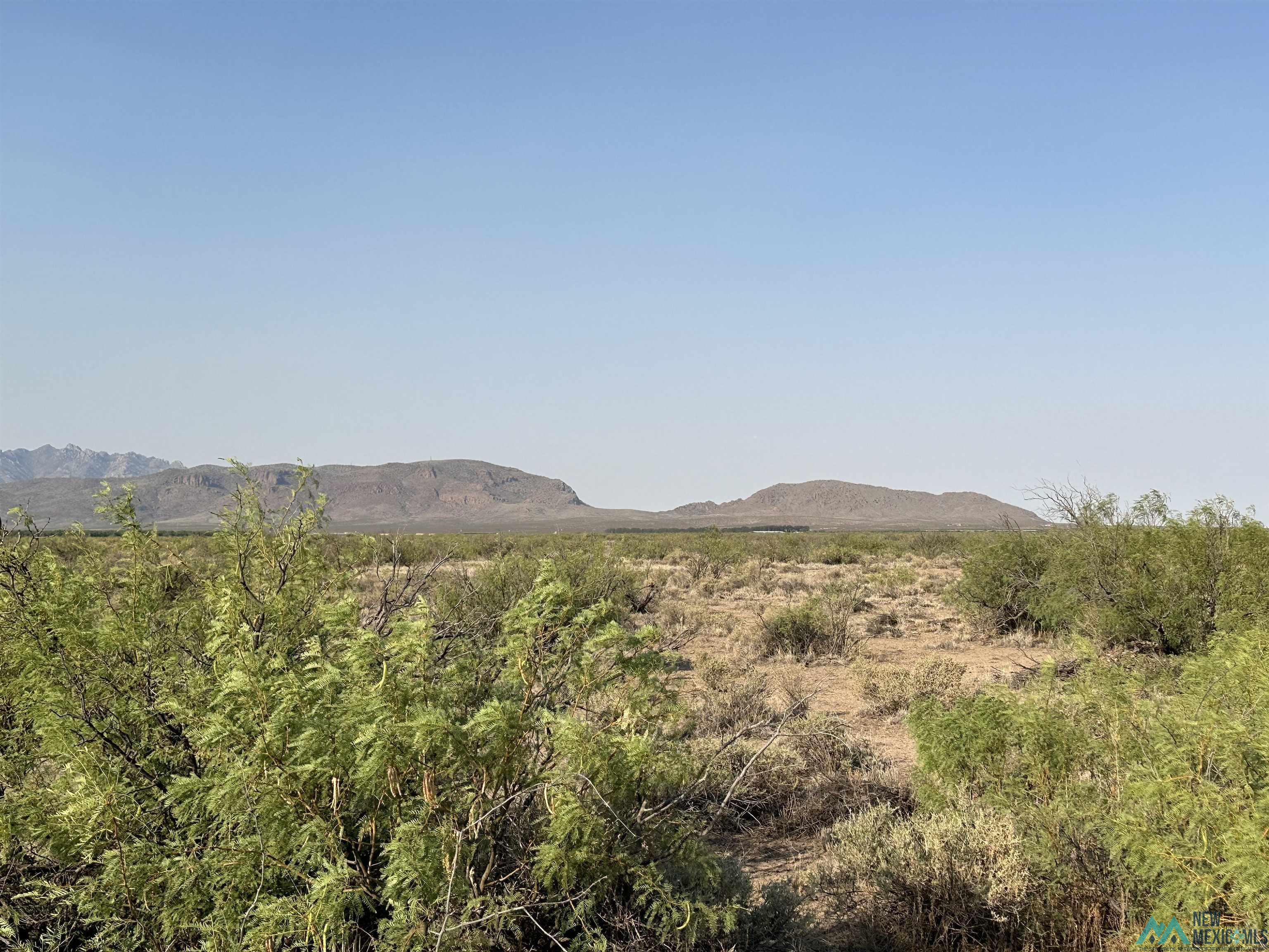 XXXX Prima Rd Se, Deming, New Mexico image 3