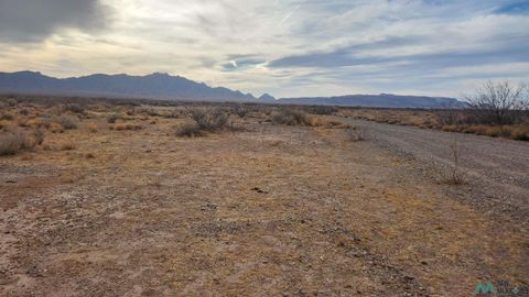 Vacant Land For Sale - 00 Tamarack Rd Se Road<br/> Luna County, Deming, NM 88030
