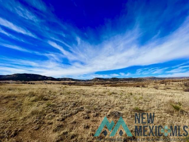 HWY 555 Highway, Raton, New Mexico image 8