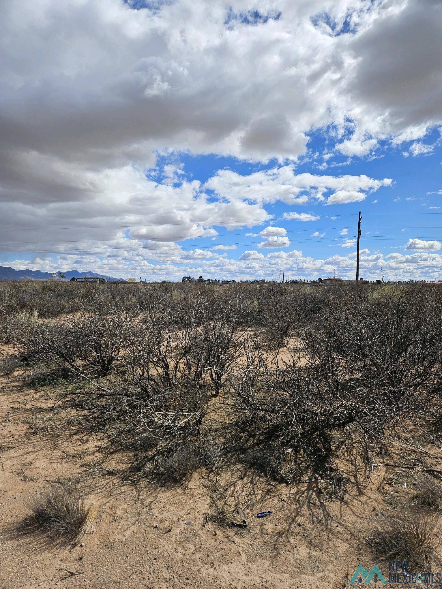 XXXX NW Horseshoe Rd, Deming, New Mexico image 4