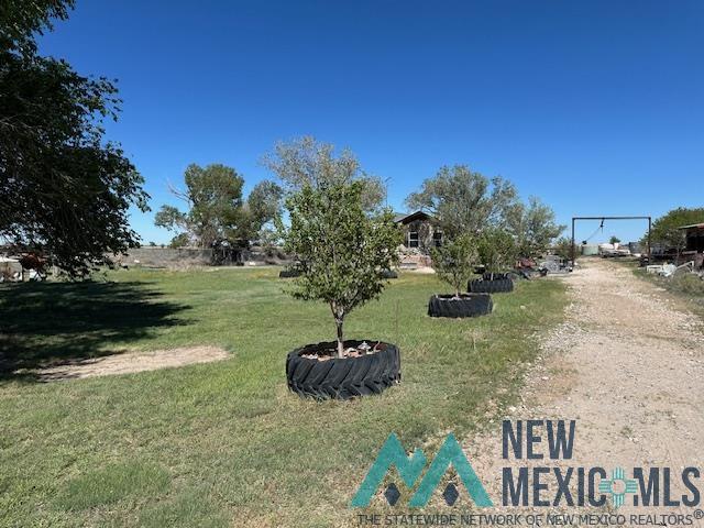 259 S Roosevelt Road Z Road, Portales, New Mexico image 9