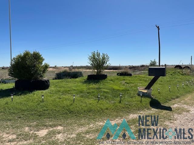 259 S Roosevelt Road Z Road, Portales, New Mexico image 4