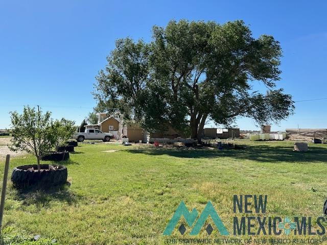 259 S Roosevelt Road Z Road, Portales, New Mexico image 2