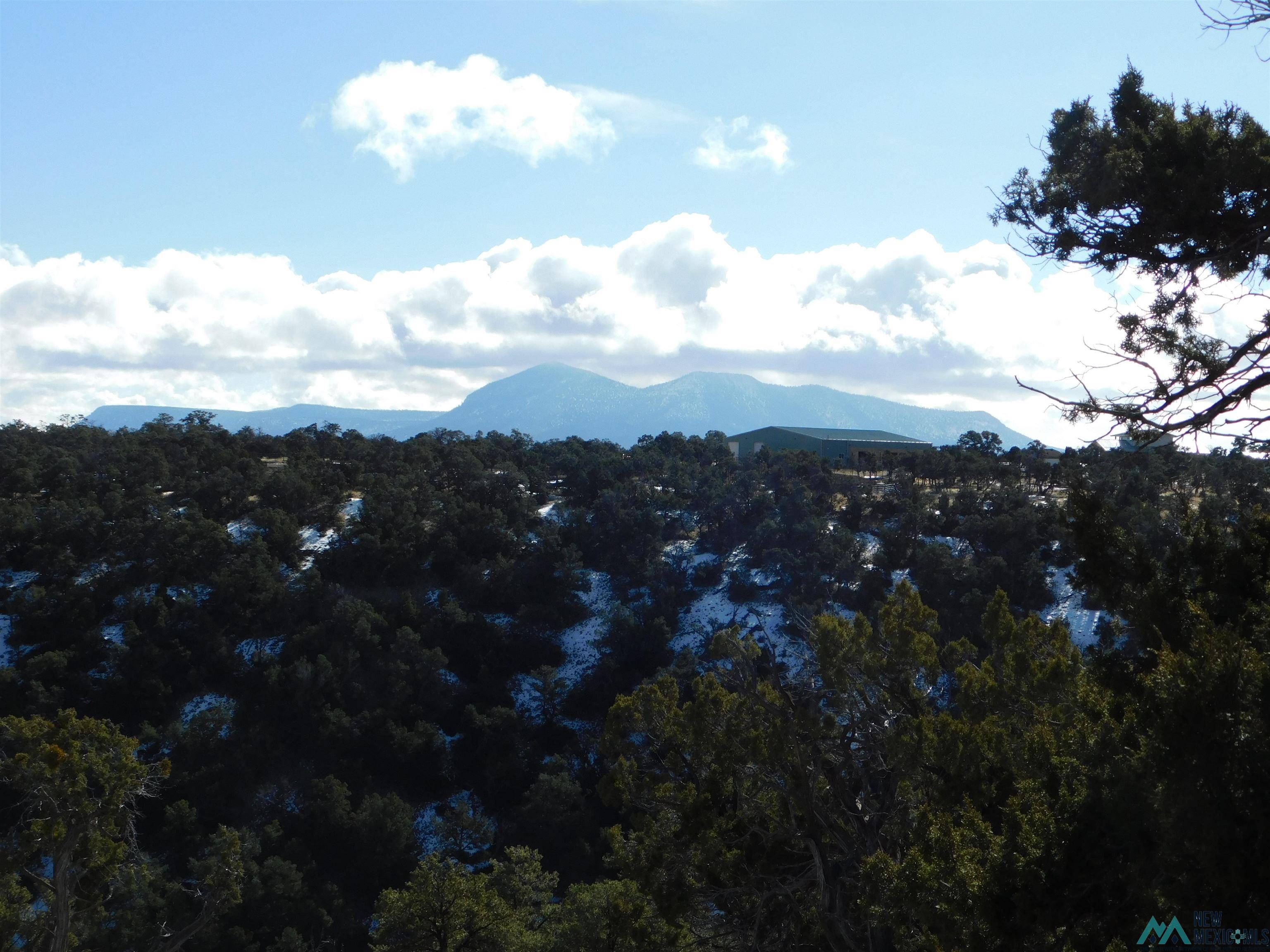 LOT 139 Agua Fria Loop, Quemado, New Mexico image 4