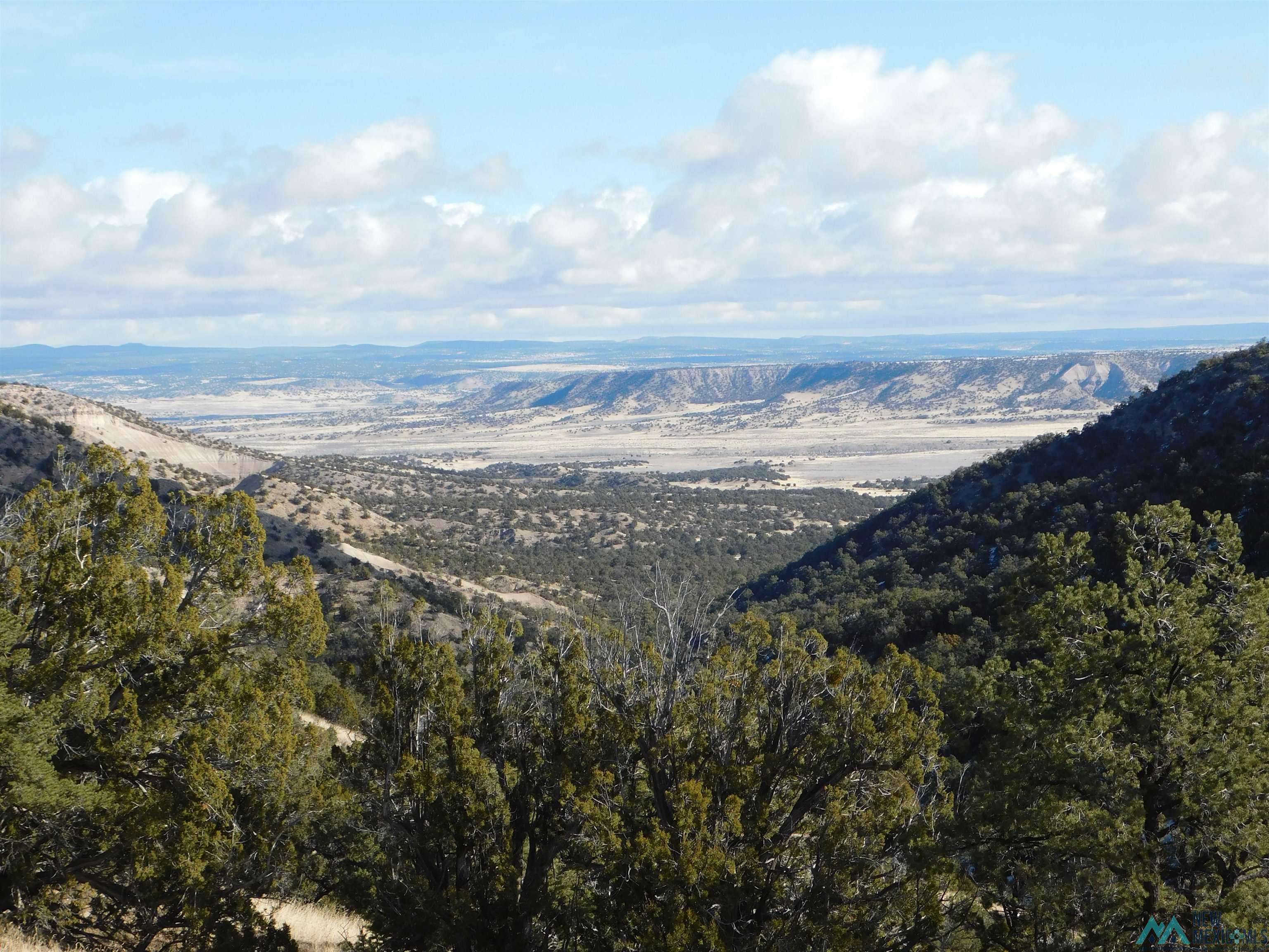 LOT 139 Agua Fria Loop, Quemado, New Mexico image 2