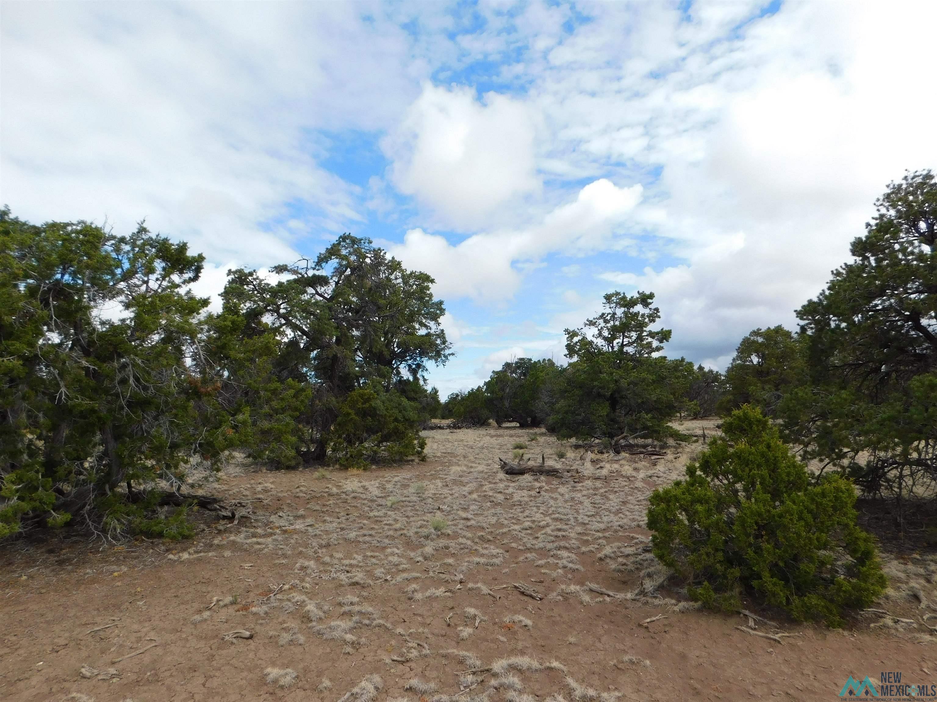 LOT 139 Agua Fria Loop, Quemado, New Mexico image 11