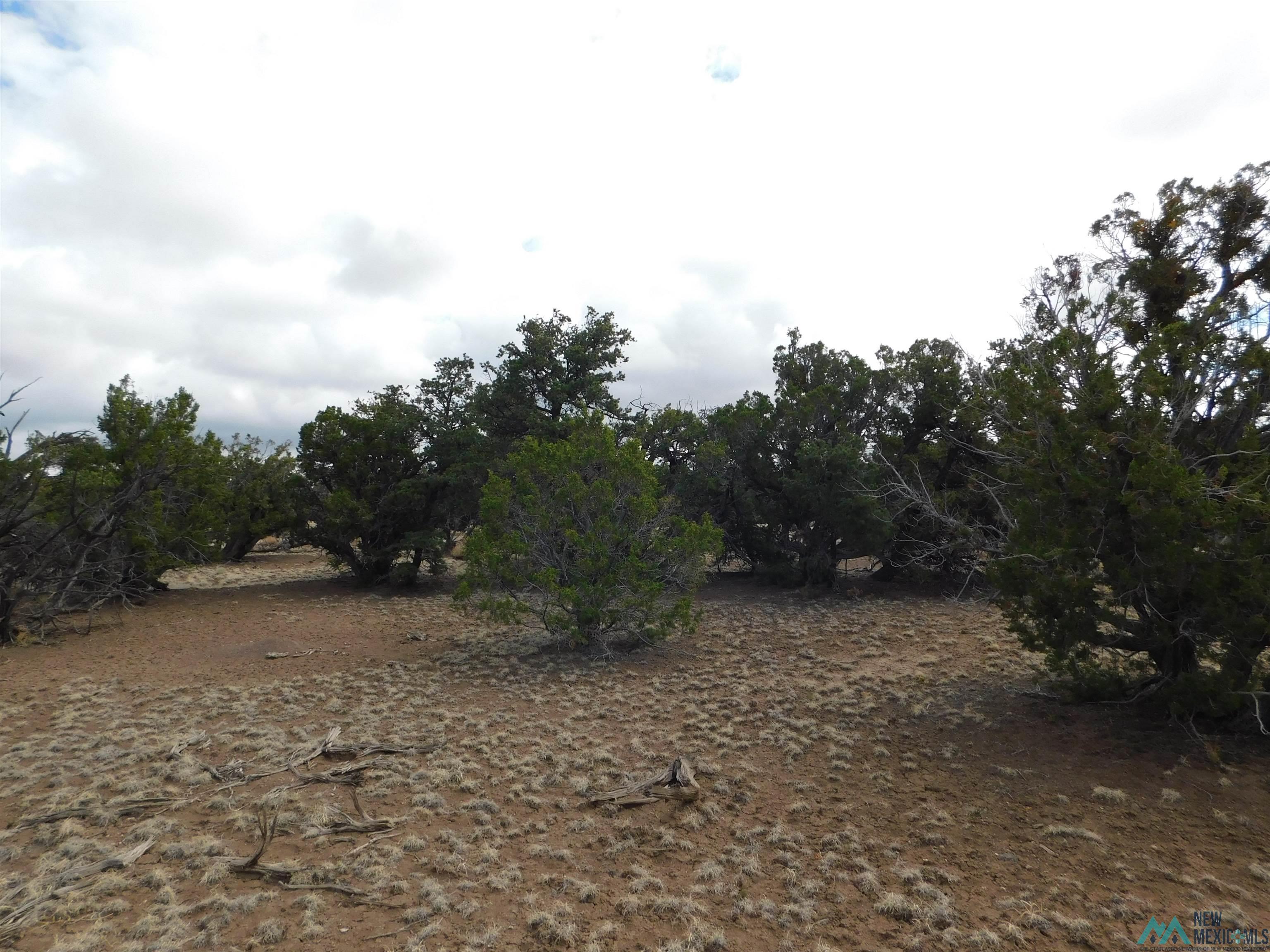 LOT 139 Agua Fria Loop, Quemado, New Mexico image 9