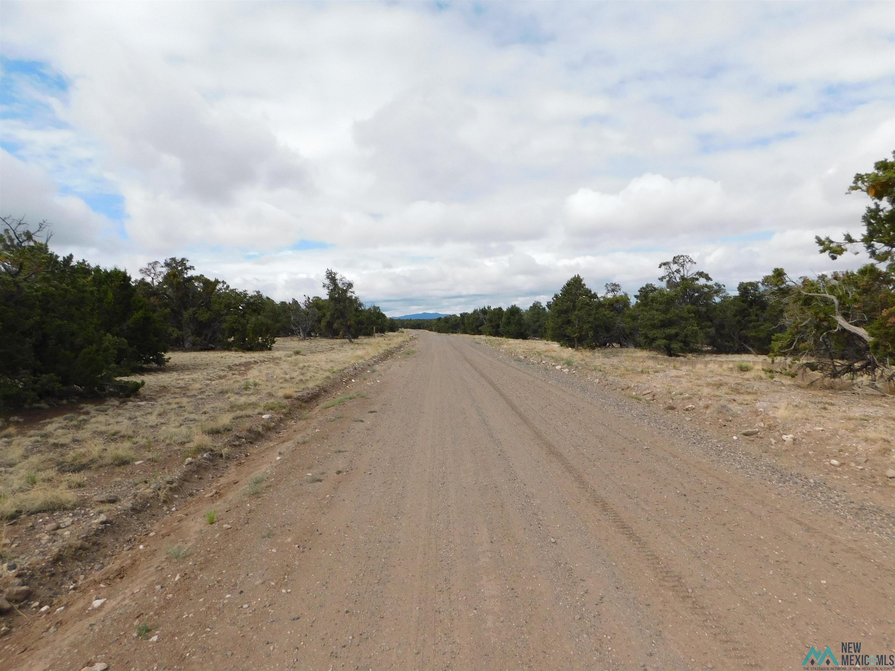 LOT 139 Agua Fria Loop, Quemado, New Mexico image 19