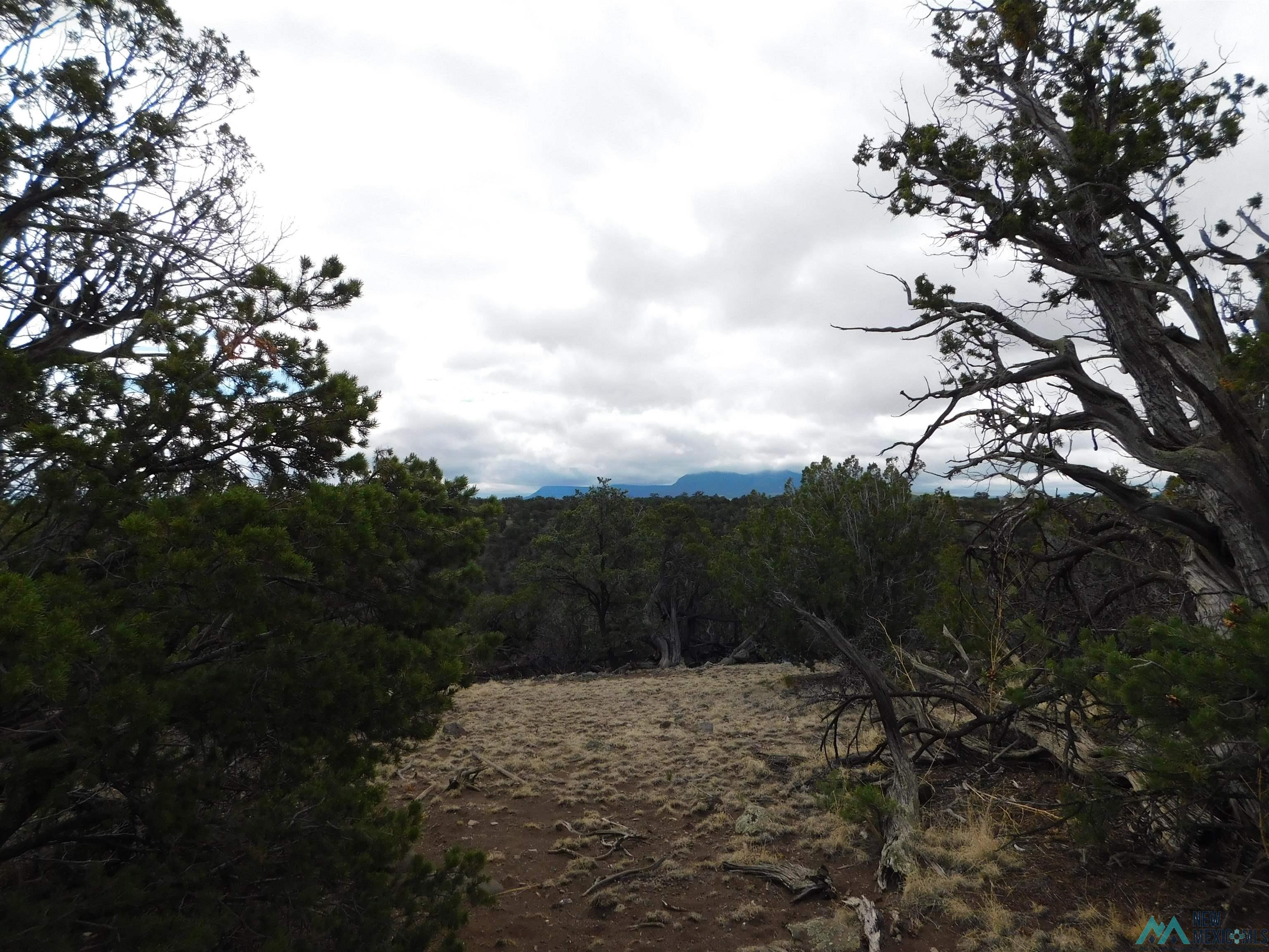 LOT 139 Agua Fria Loop, Quemado, New Mexico image 12