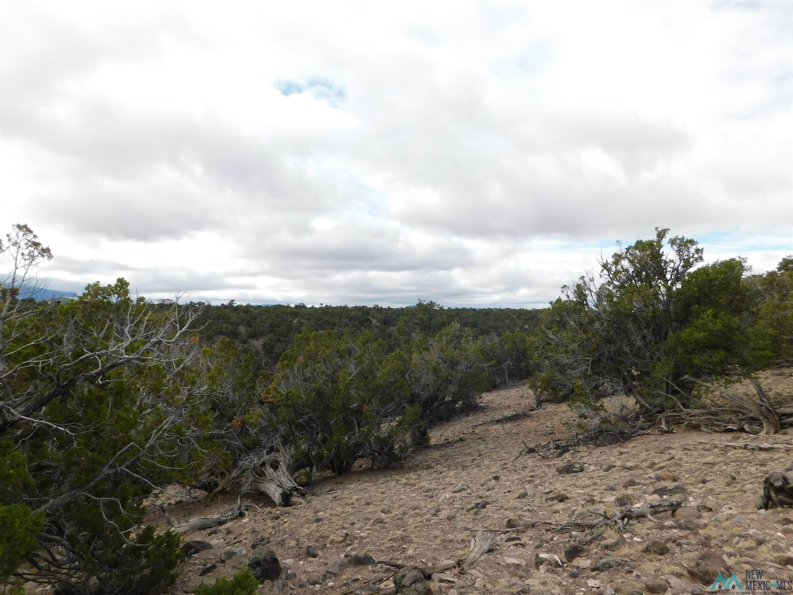 LOT 139 Agua Fria Loop, Quemado, New Mexico image 14