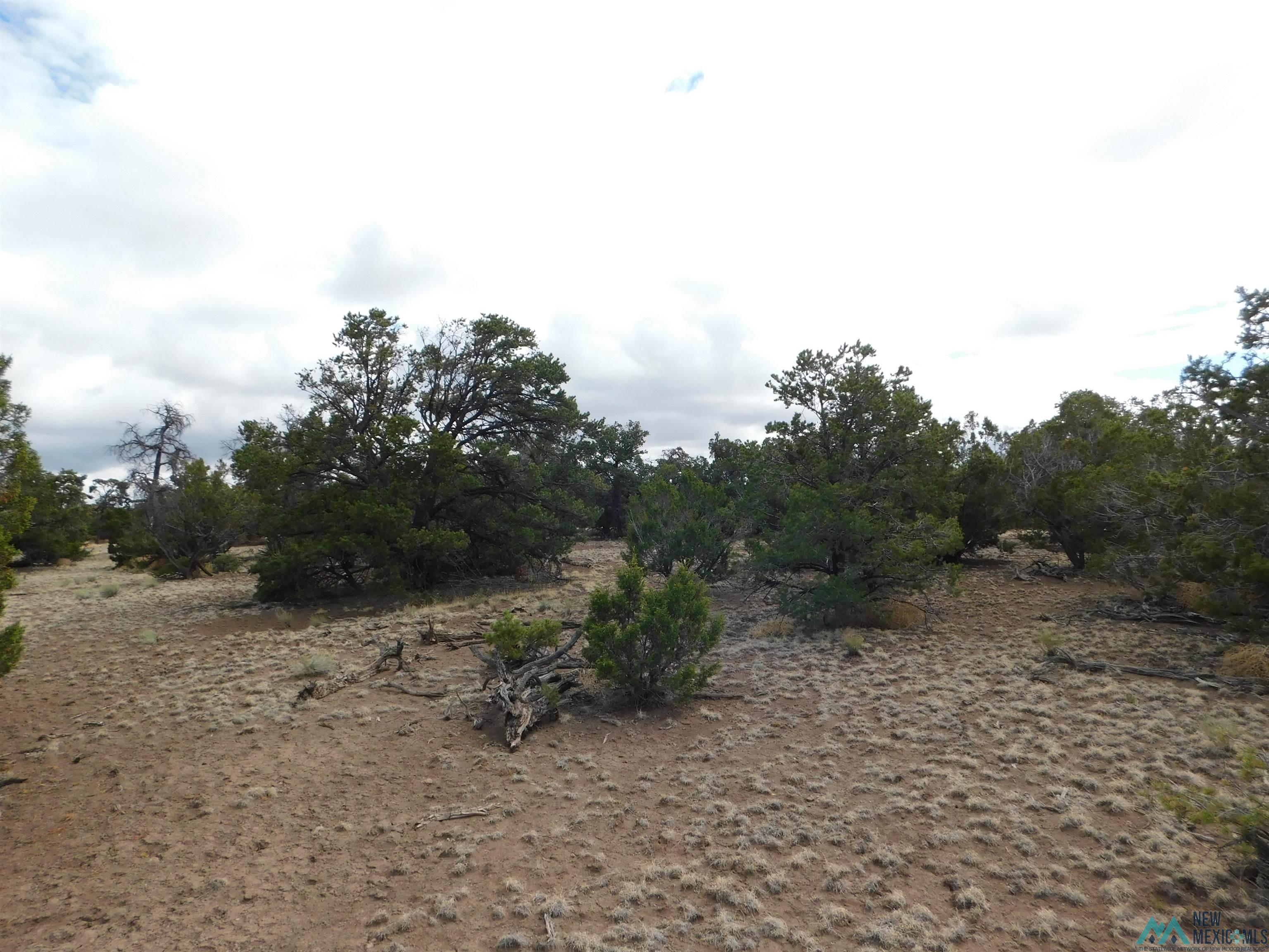 LOT 139 Agua Fria Loop, Quemado, New Mexico image 8