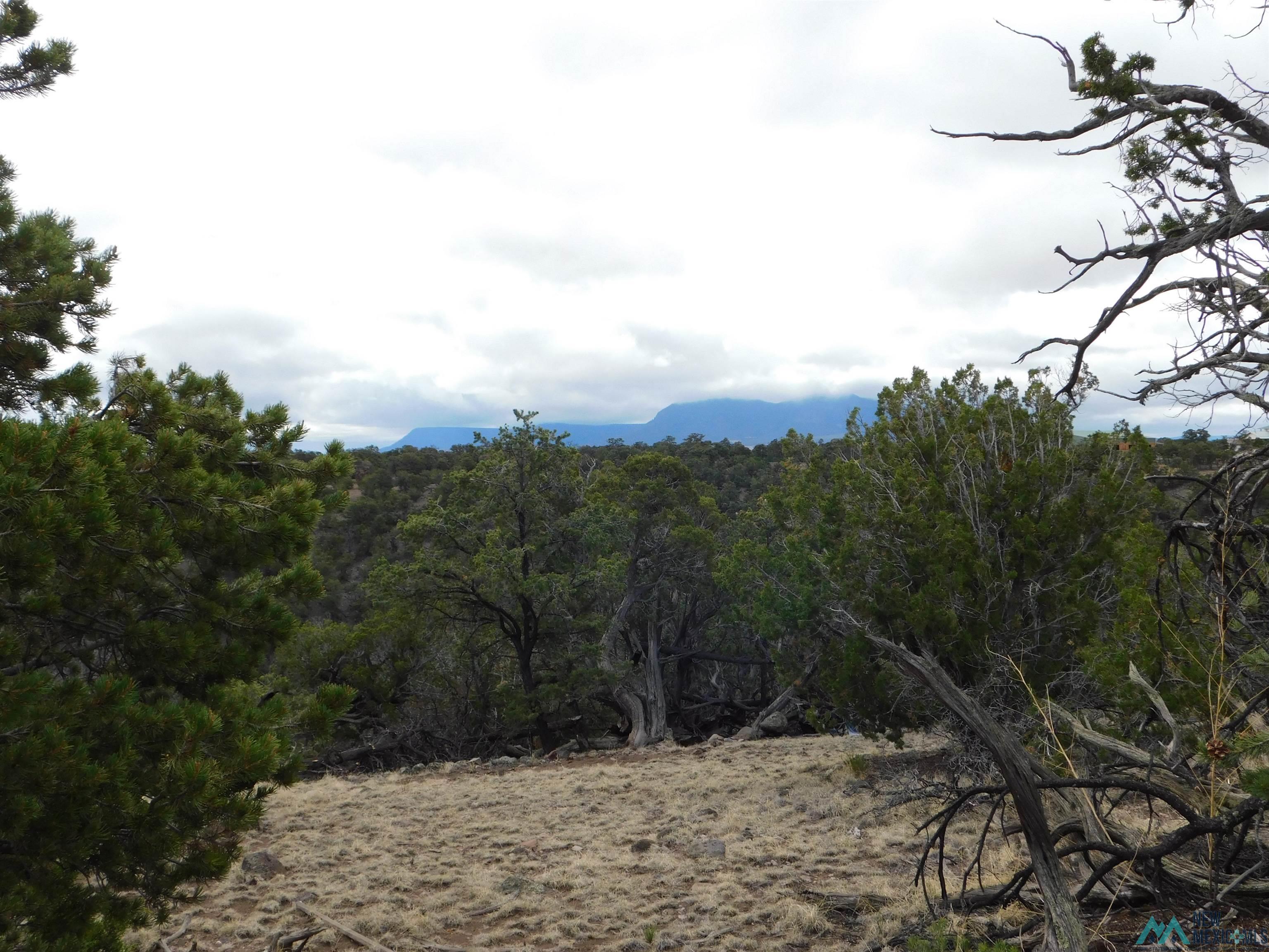 LOT 139 Agua Fria Loop, Quemado, New Mexico image 6