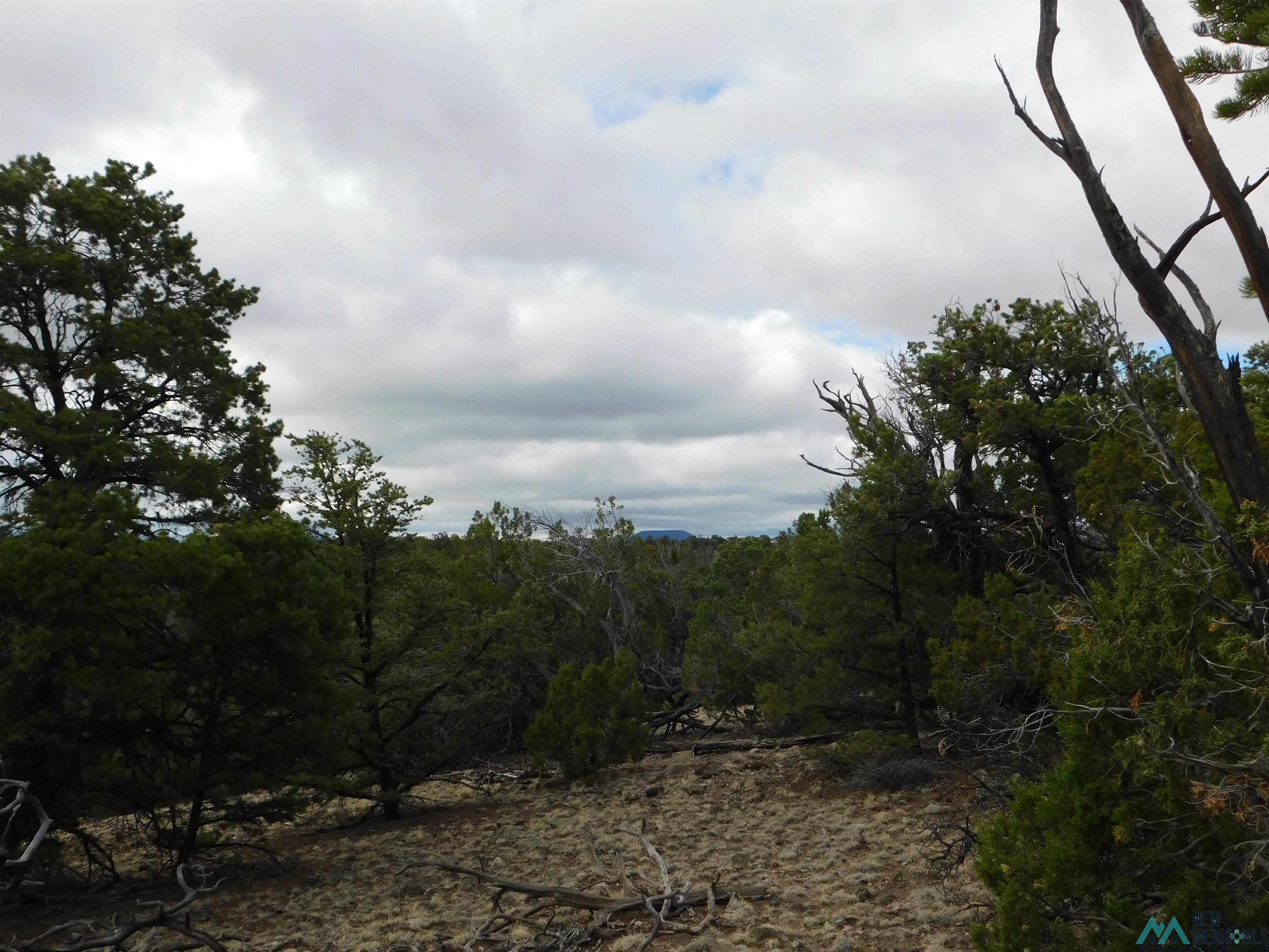 LOT 139 Agua Fria Loop, Quemado, New Mexico image 16