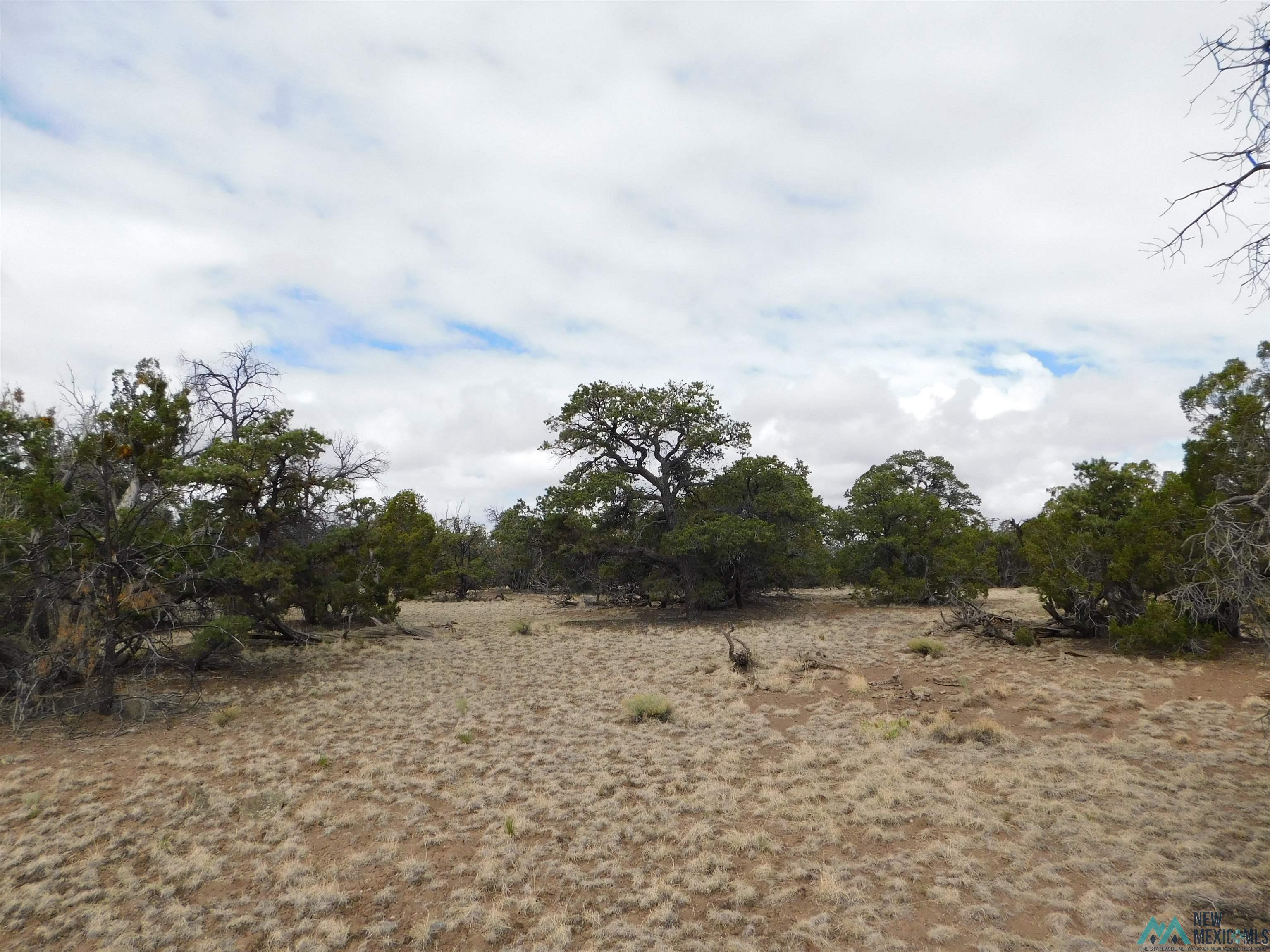 LOT 139 Agua Fria Loop, Quemado, New Mexico image 17