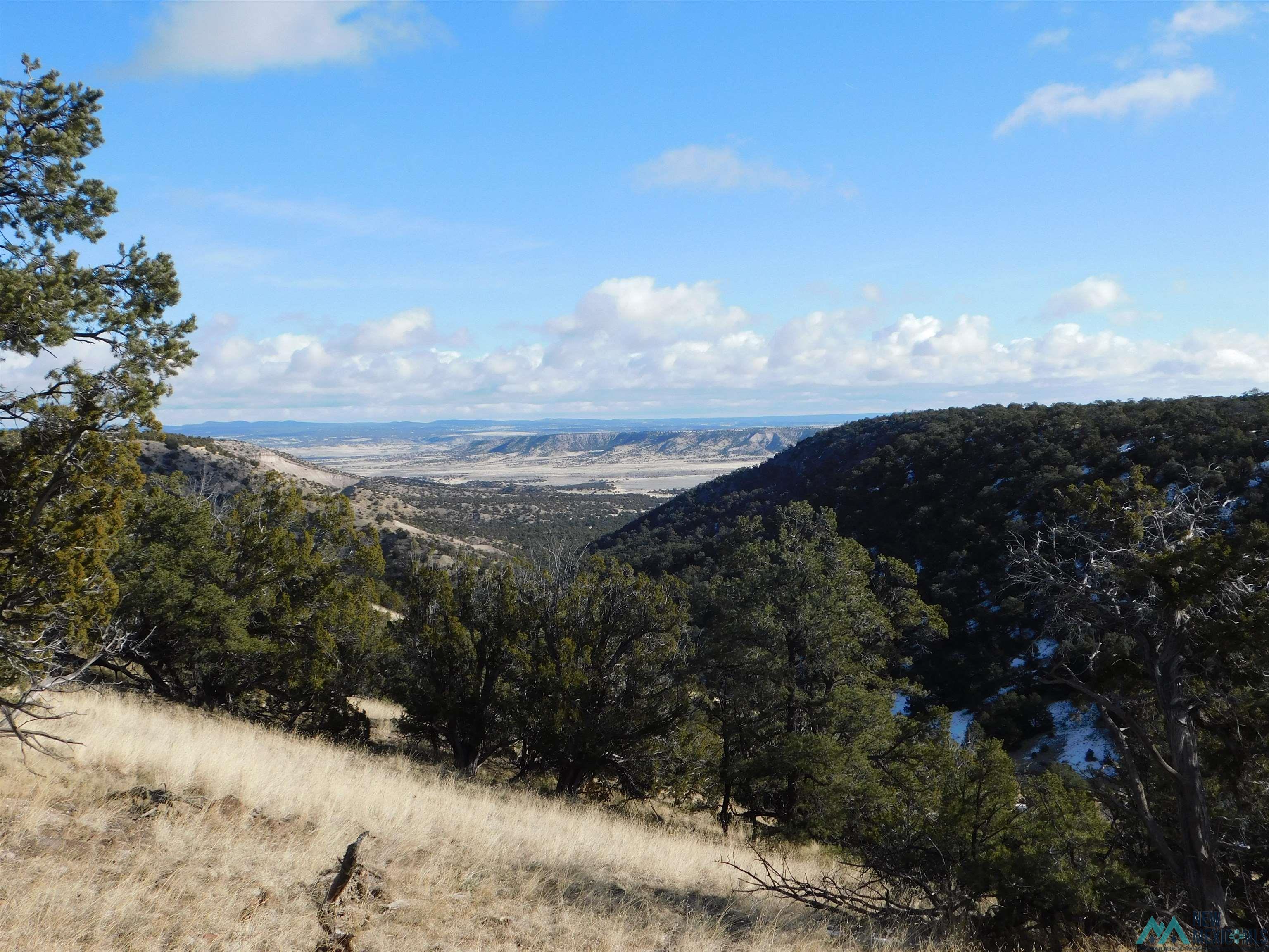 LOT 139 Agua Fria Loop, Quemado, New Mexico image 3