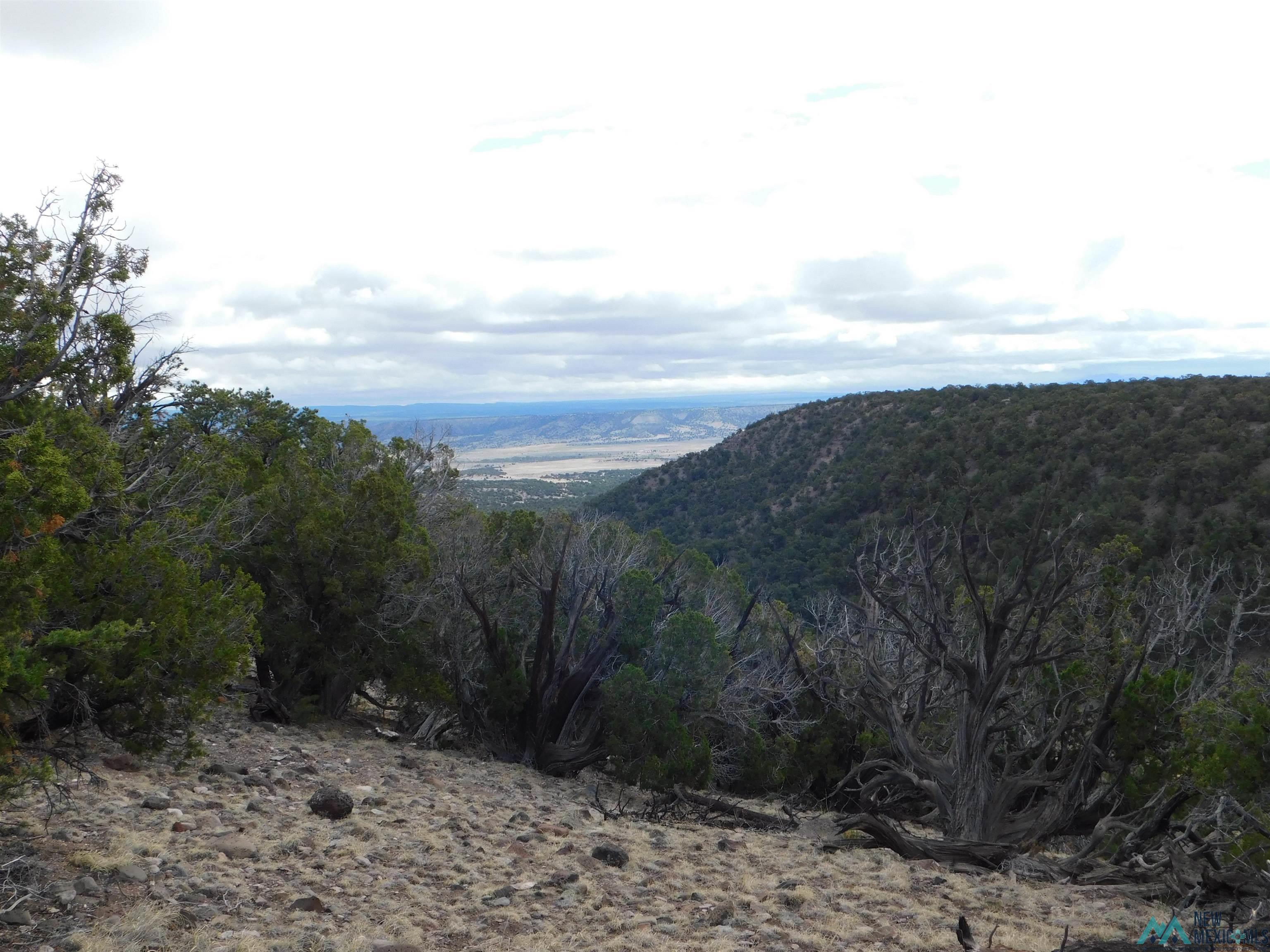 LOT 139 Agua Fria Loop, Quemado, New Mexico image 5