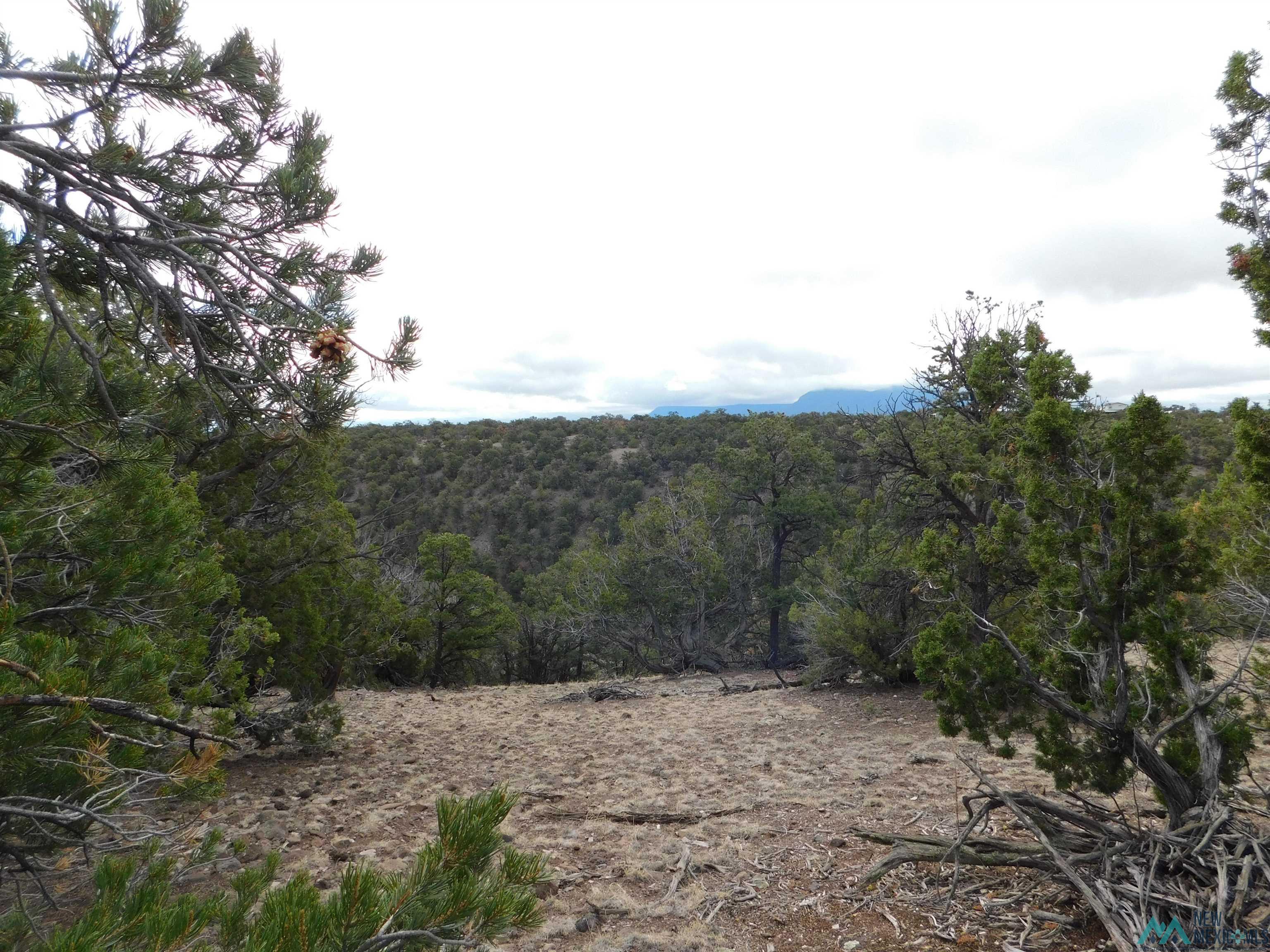 LOT 139 Agua Fria Loop, Quemado, New Mexico image 7