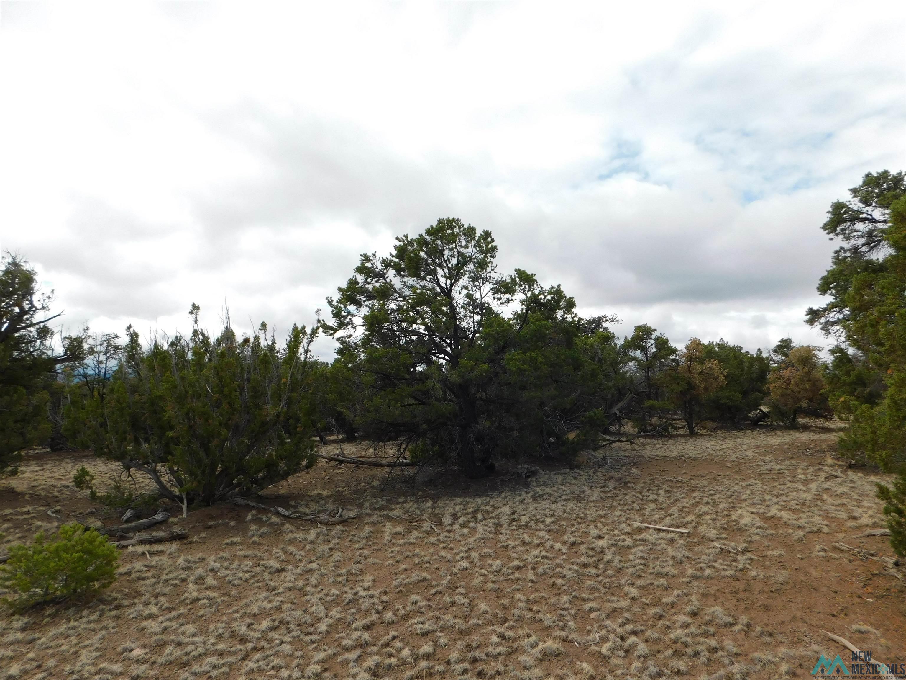 LOT 139 Agua Fria Loop, Quemado, New Mexico image 10