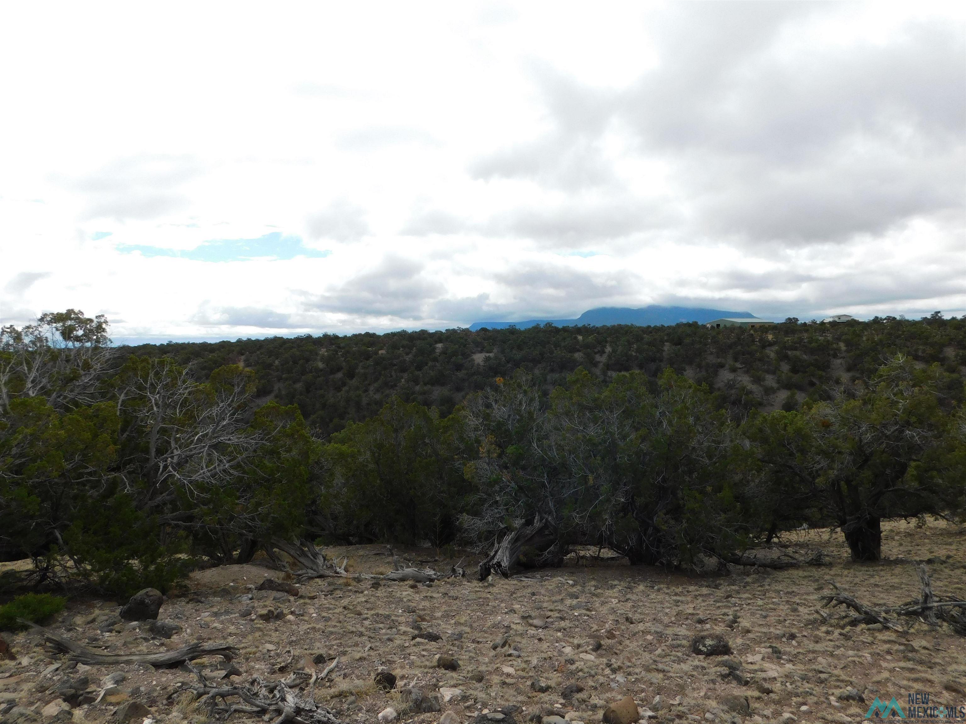 LOT 139 Agua Fria Loop, Quemado, New Mexico image 15