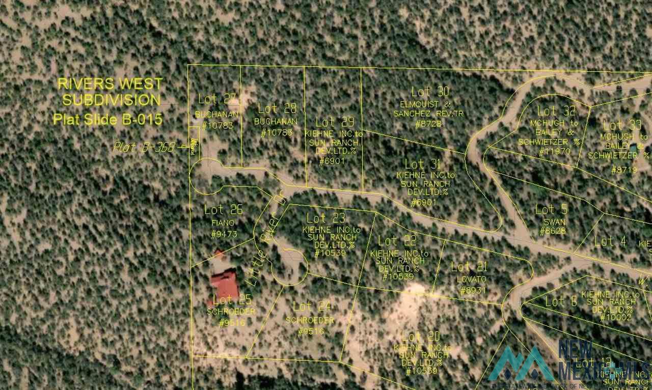 LOT 27 & 28 W Rivers Road, Reserve, Texas image 1