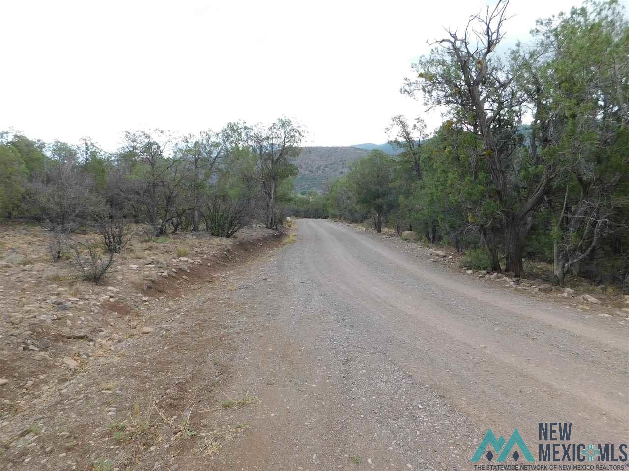 LOT 27 & 28 W Rivers Road, Reserve, Texas image 18