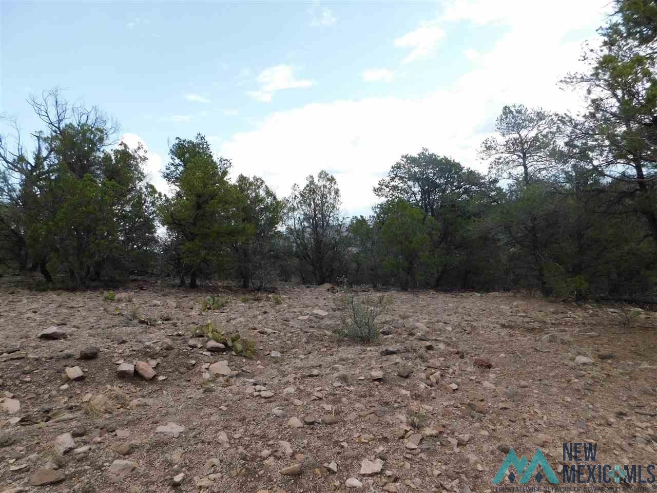 LOT 27 & 28 W Rivers Road, Reserve, Texas image 8