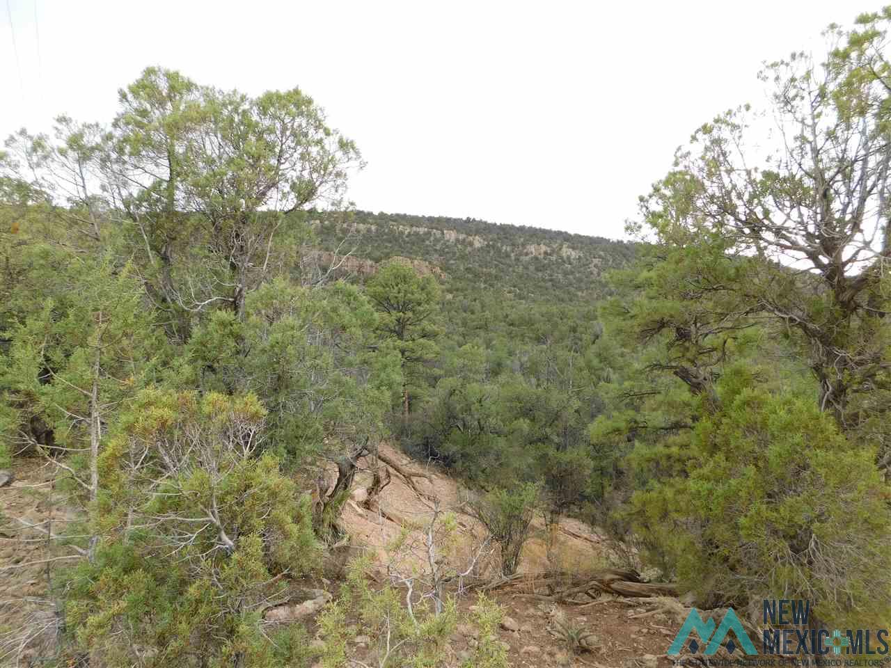 LOT 27 & 28 W Rivers Road, Reserve, Texas image 3