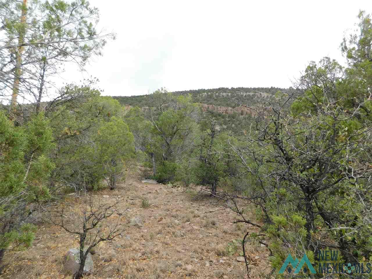 LOT 27 & 28 W Rivers Road, Reserve, Texas image 6