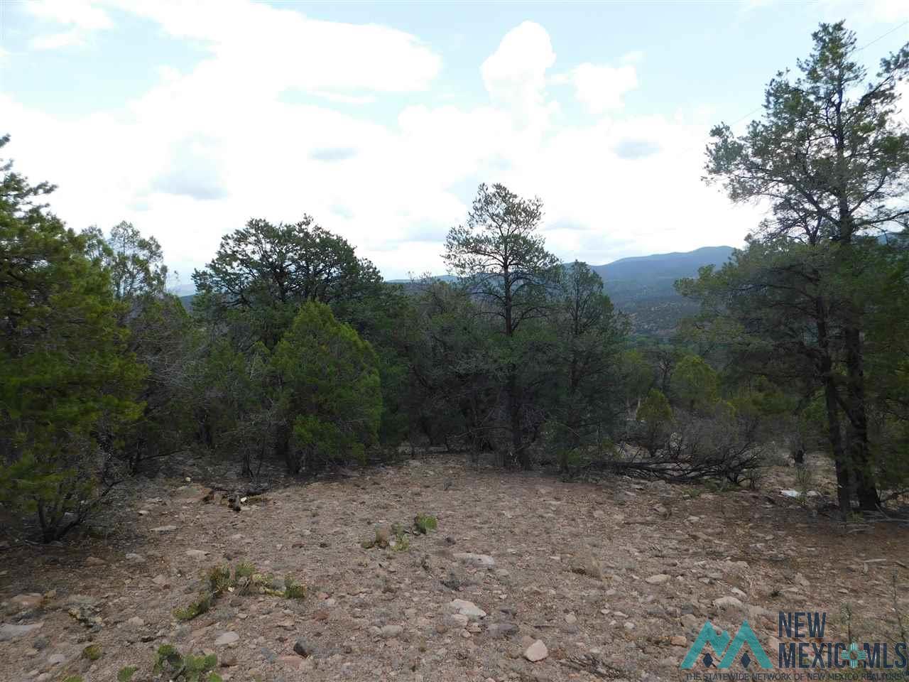 LOT 27 & 28 W Rivers Road, Reserve, Texas image 16