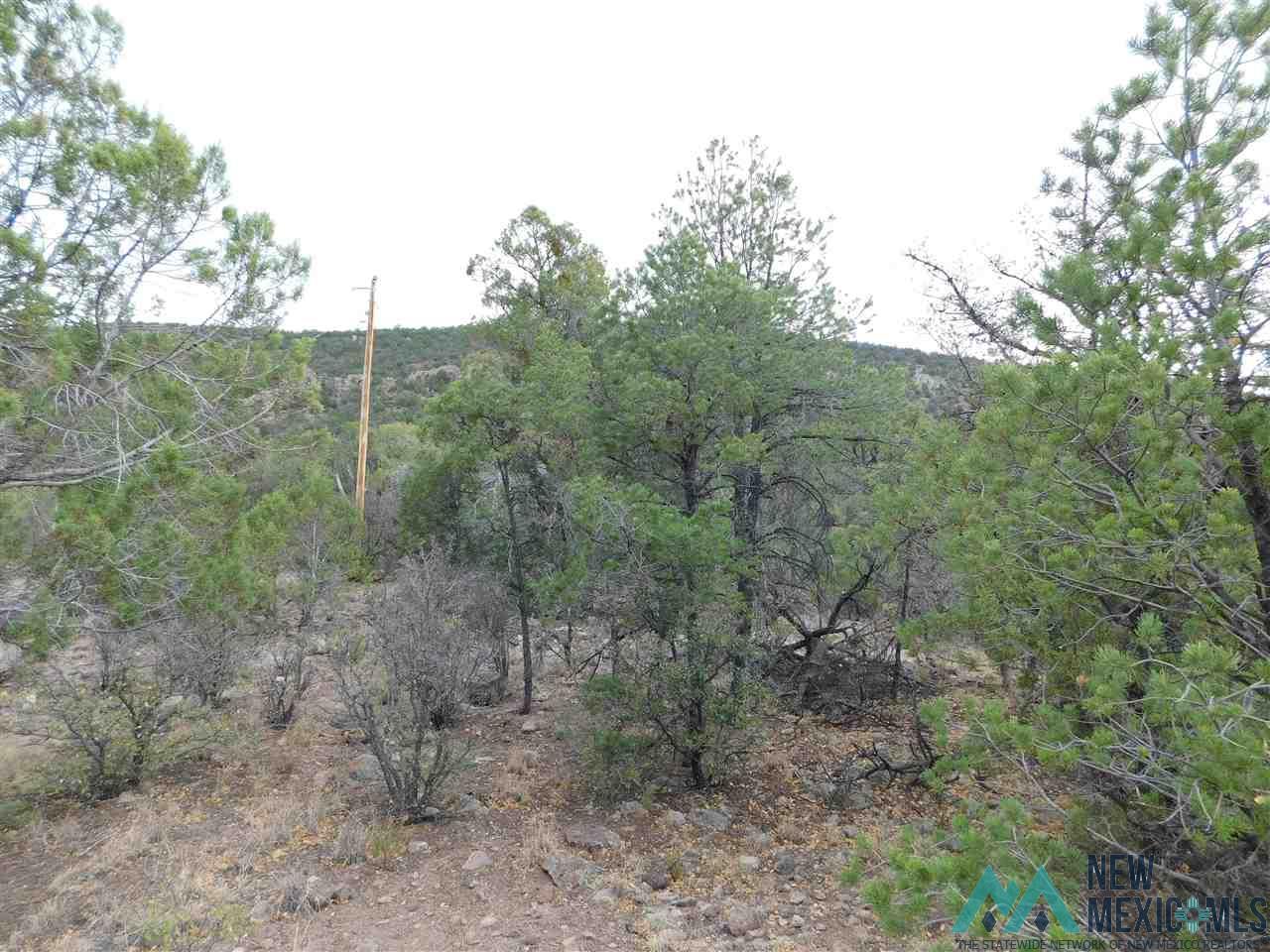 LOT 27 & 28 W Rivers Road, Reserve, Texas image 14